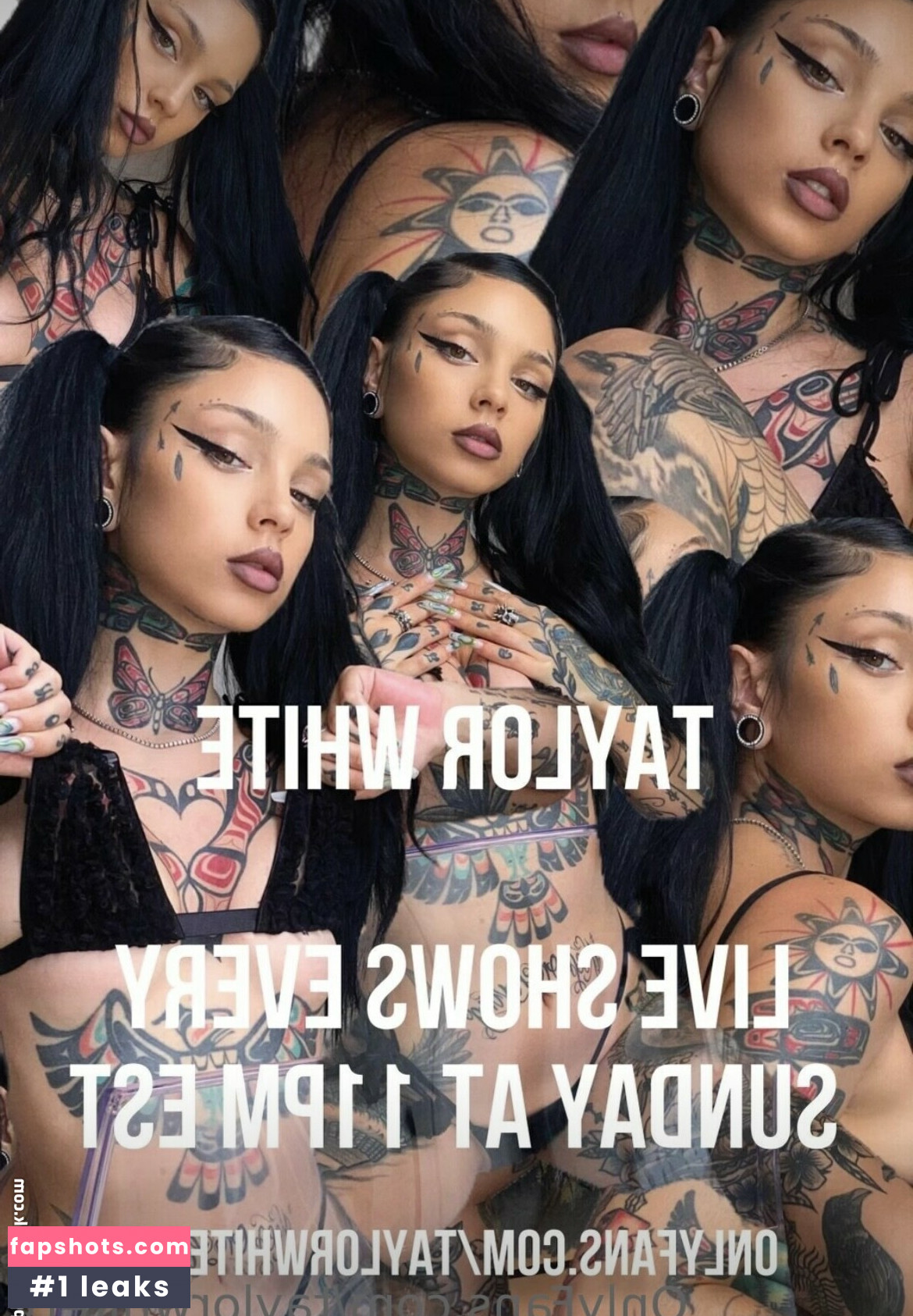 Taylor White gallery photo #99