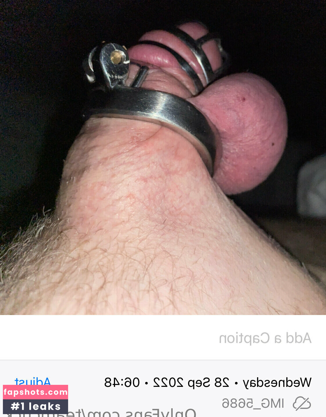 teamcuck gallery photo #13