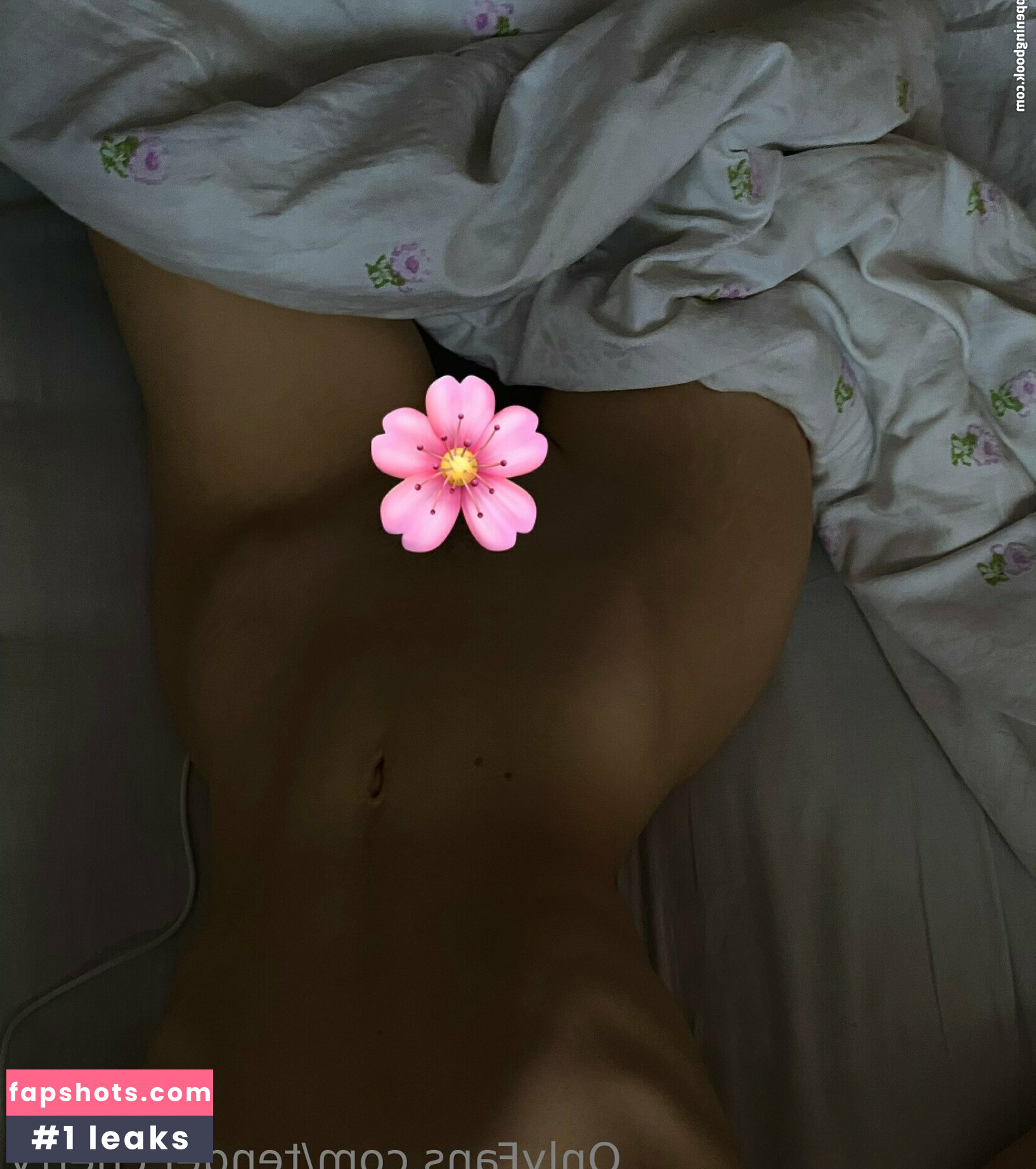 tender.cherry gallery photo #13