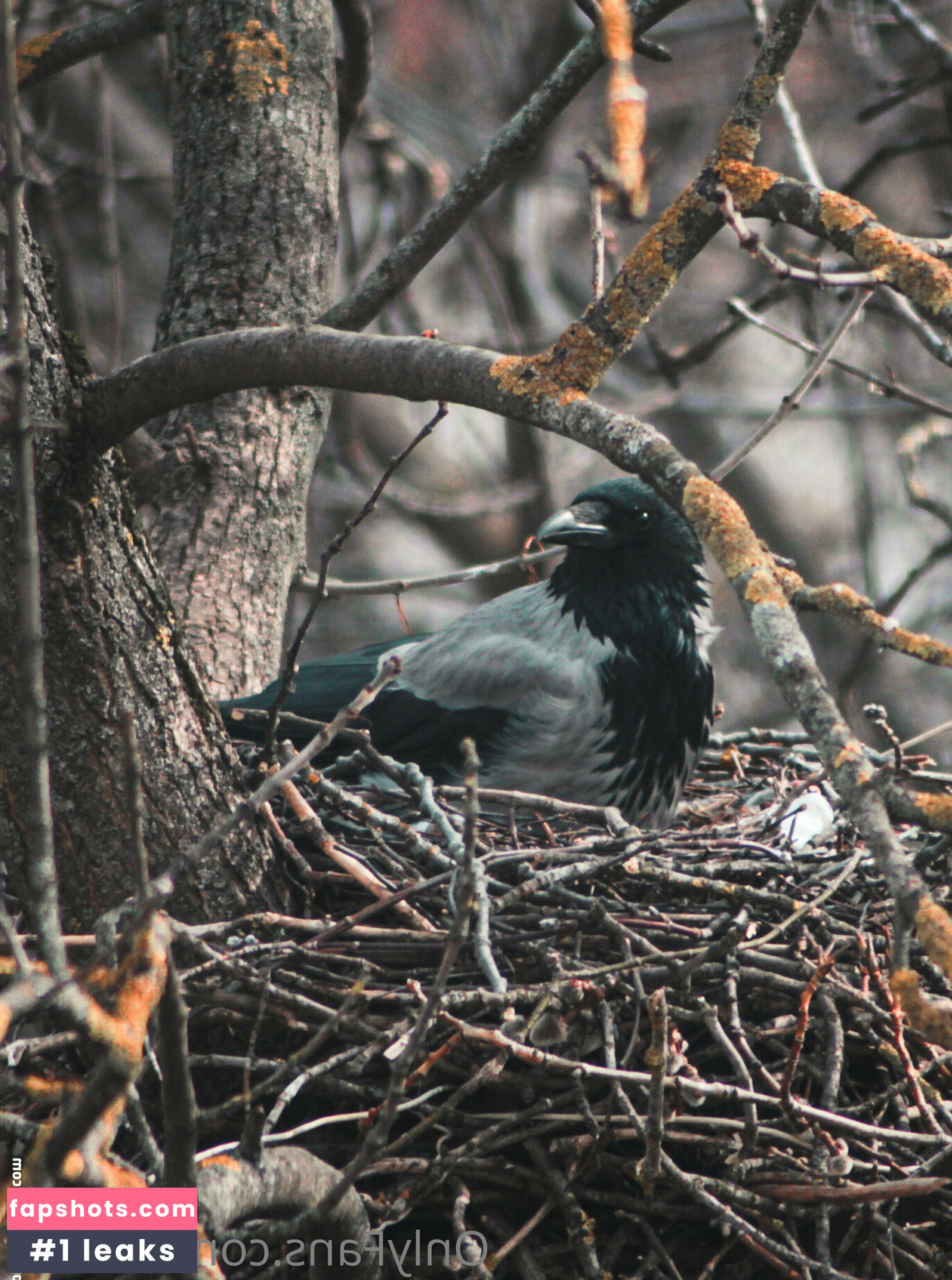 TeRefur Nude Leaks OnlyFans Photos #31 - Fapshots