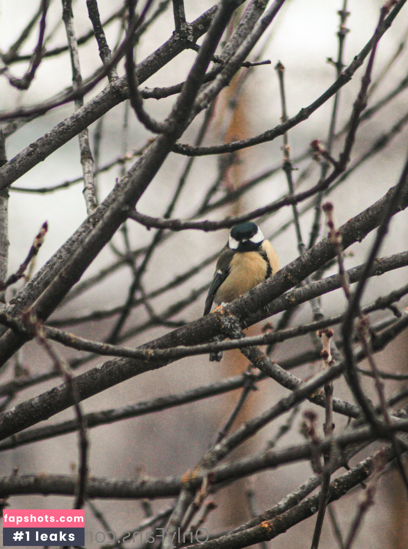 TeRefur Nude Leaks OnlyFans Photos #42 - Fapshots