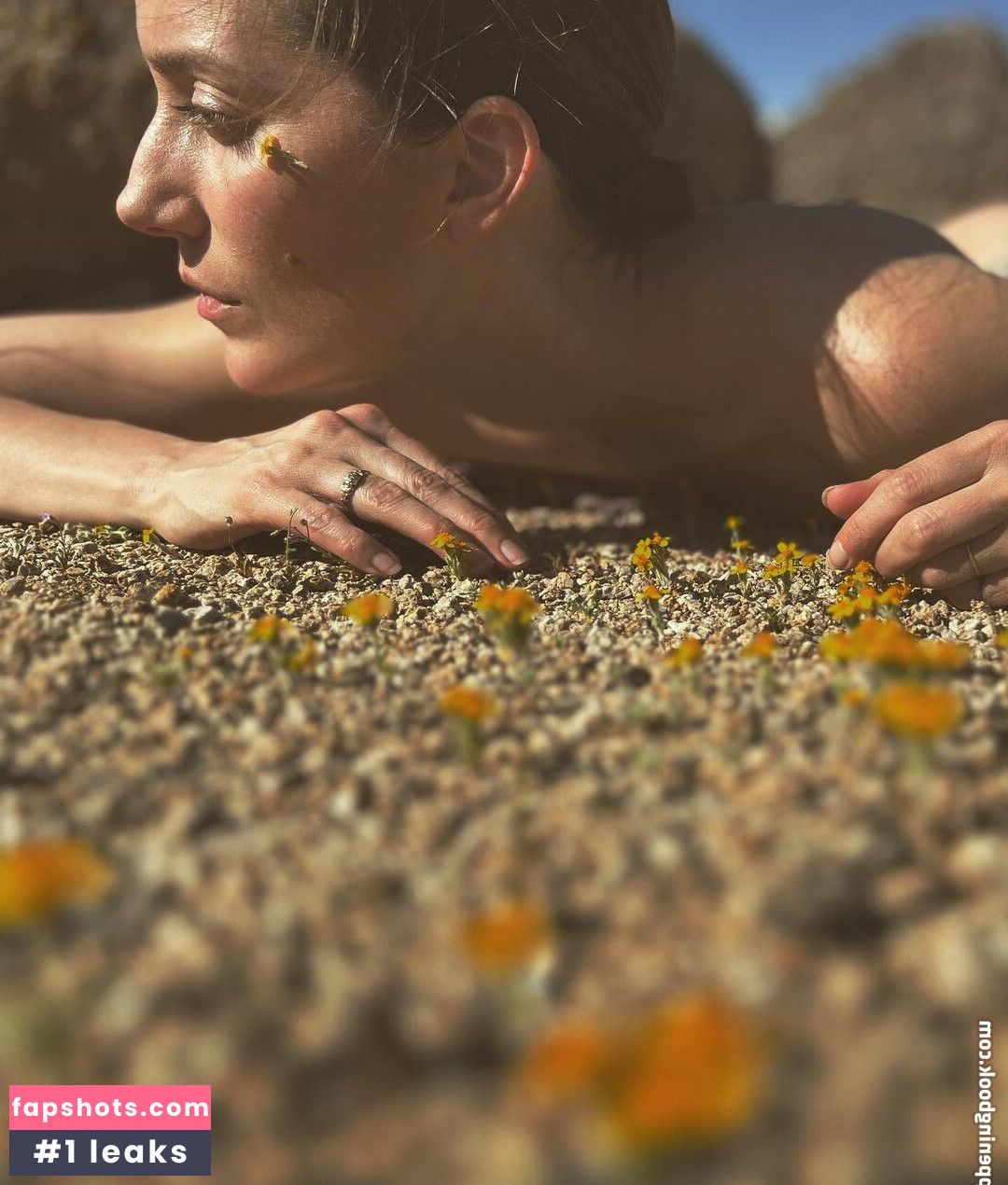 Teri Wyble gallery photo #20