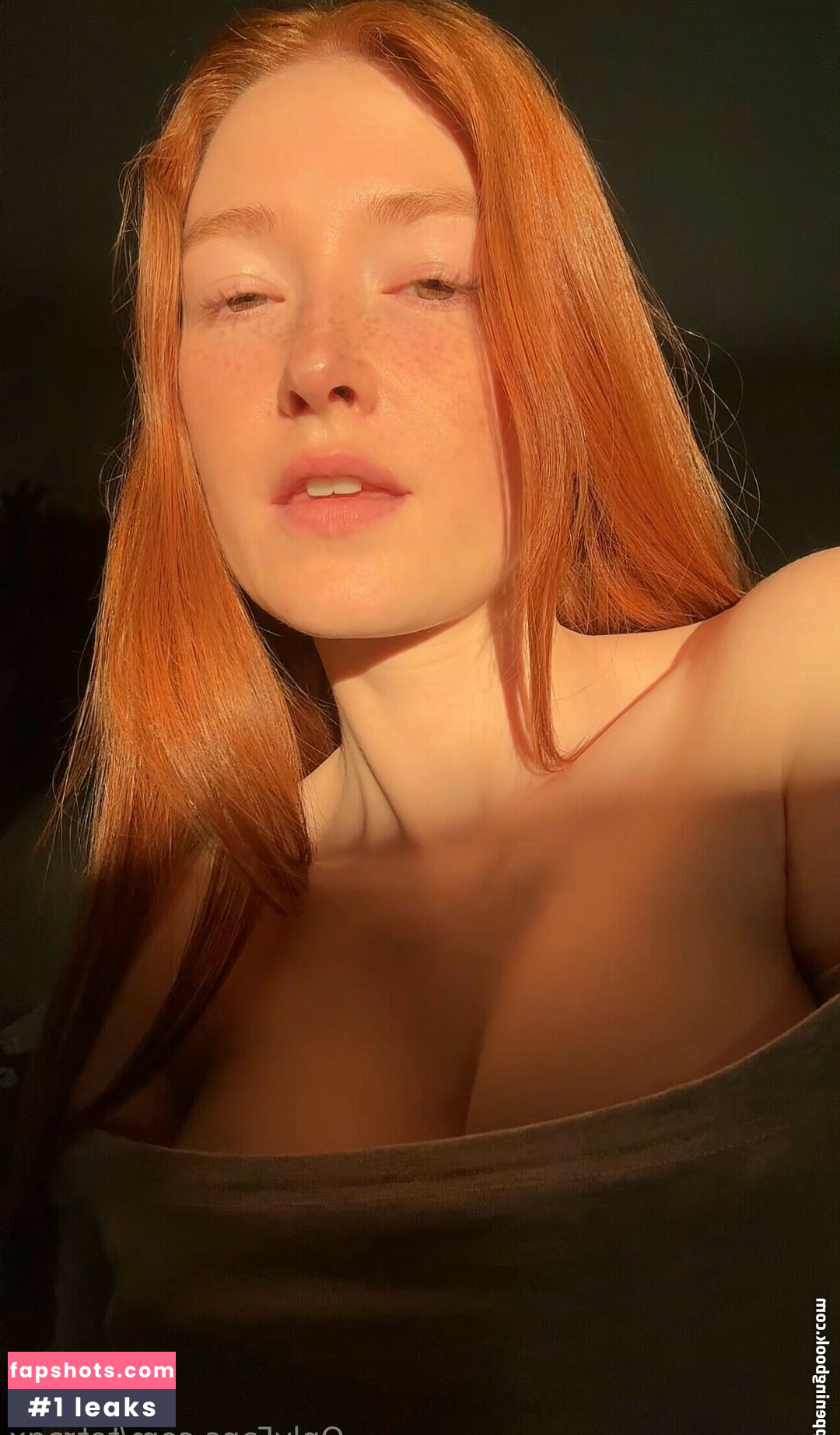 tetraQx gallery photo #27