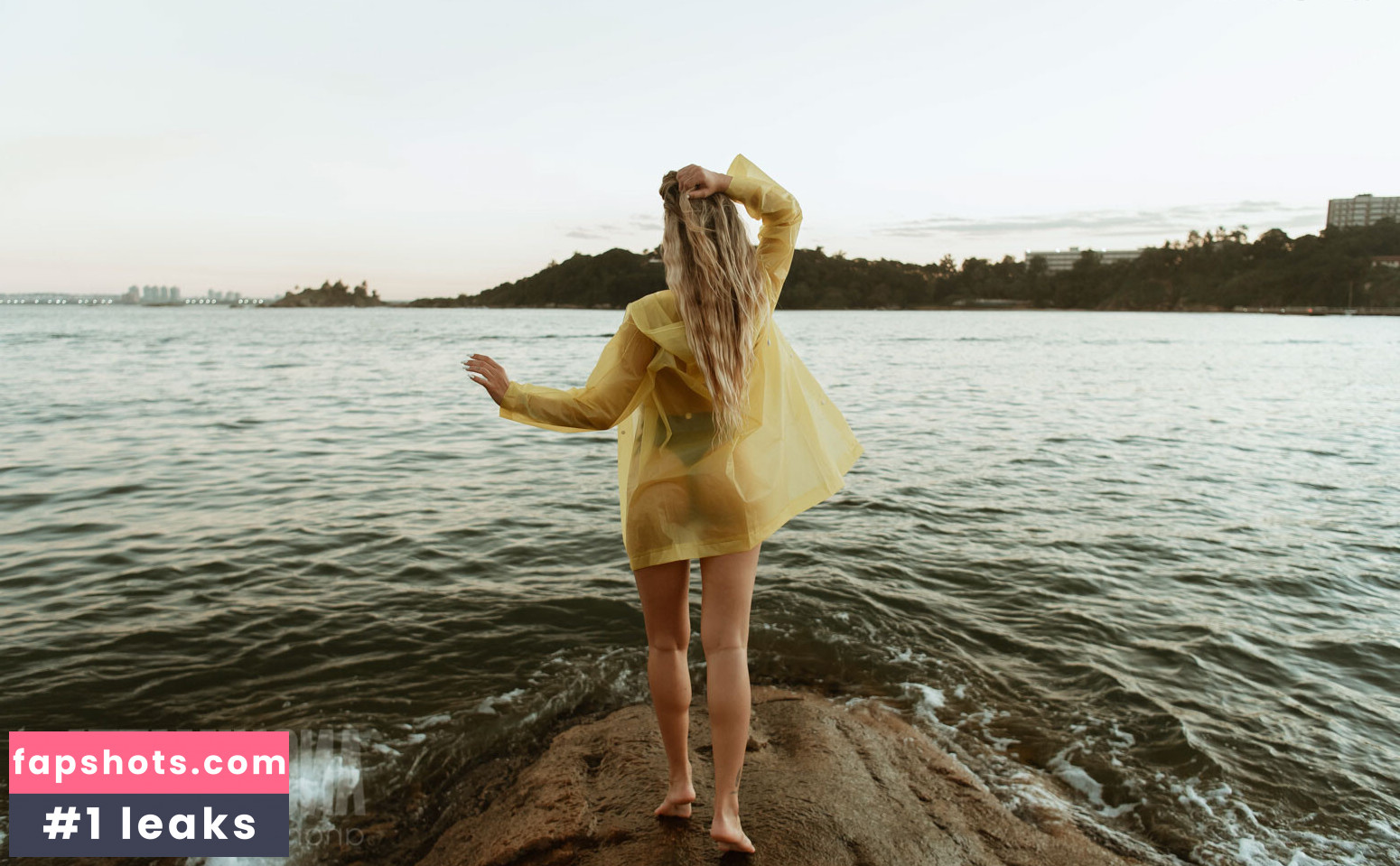 Thamy Araujo gallery photo #5