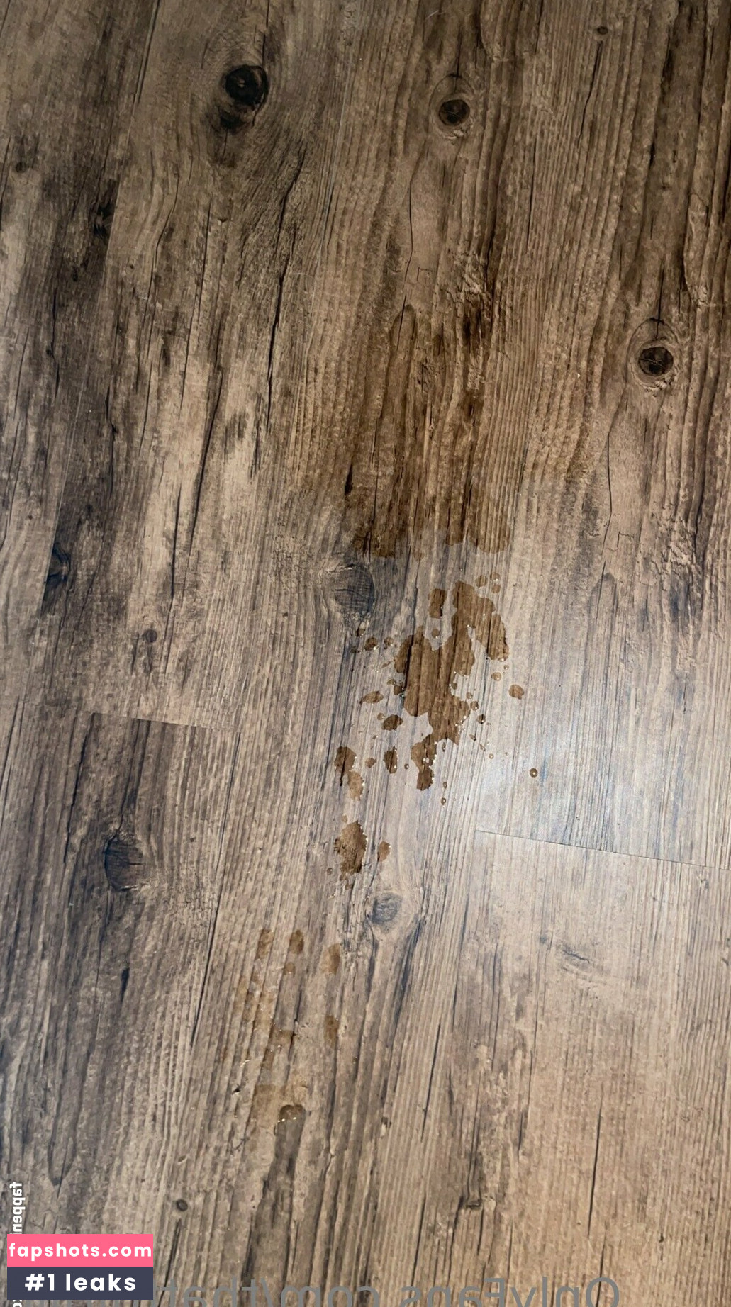 Thattgirlllll gallery photo #6