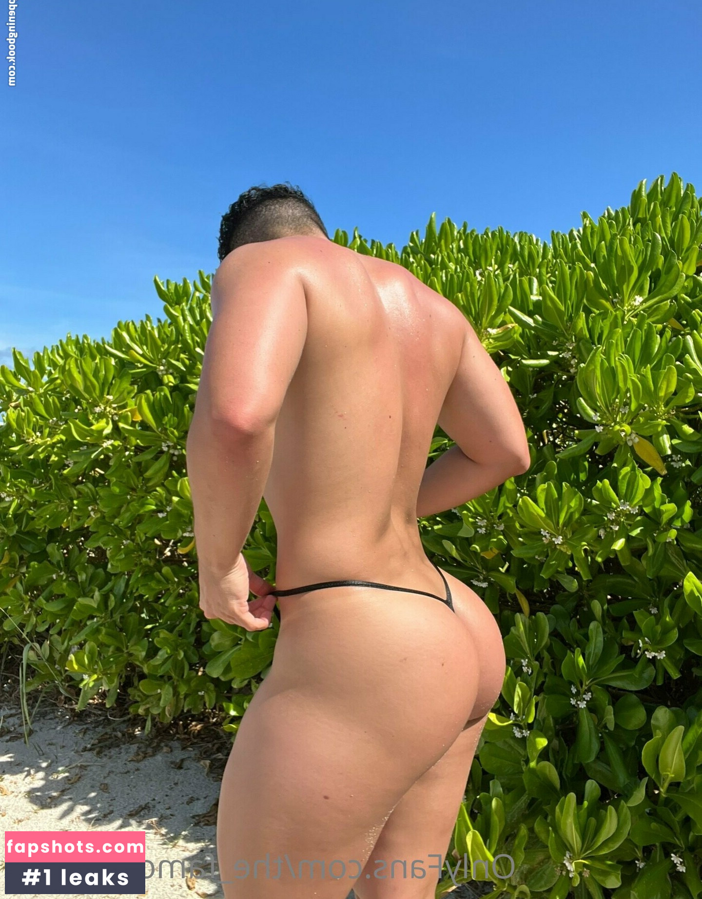 the_famous_frank gallery photo #5