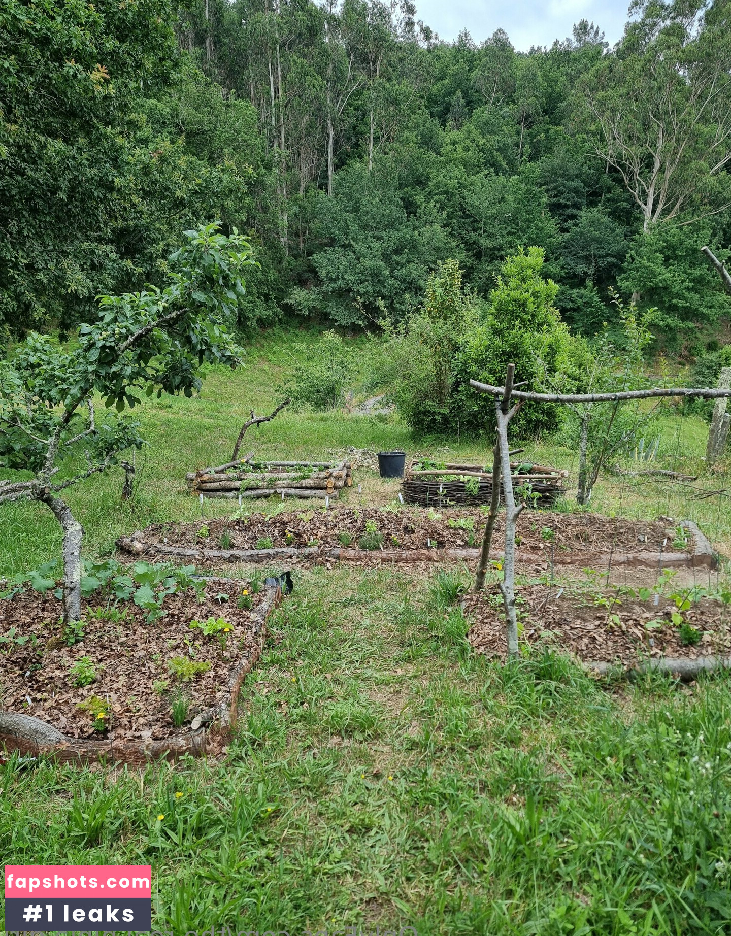 the.real.ninja.girl Nude Leaks OnlyFans Photos #23 - LeakJerk