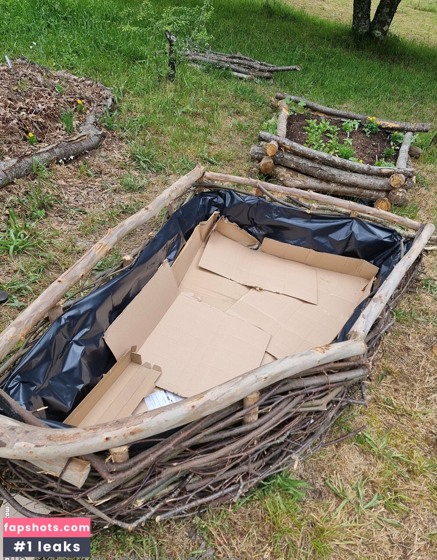 the.real.ninja.girl Nude Leaks OnlyFans Photos #24 - LeakJerk