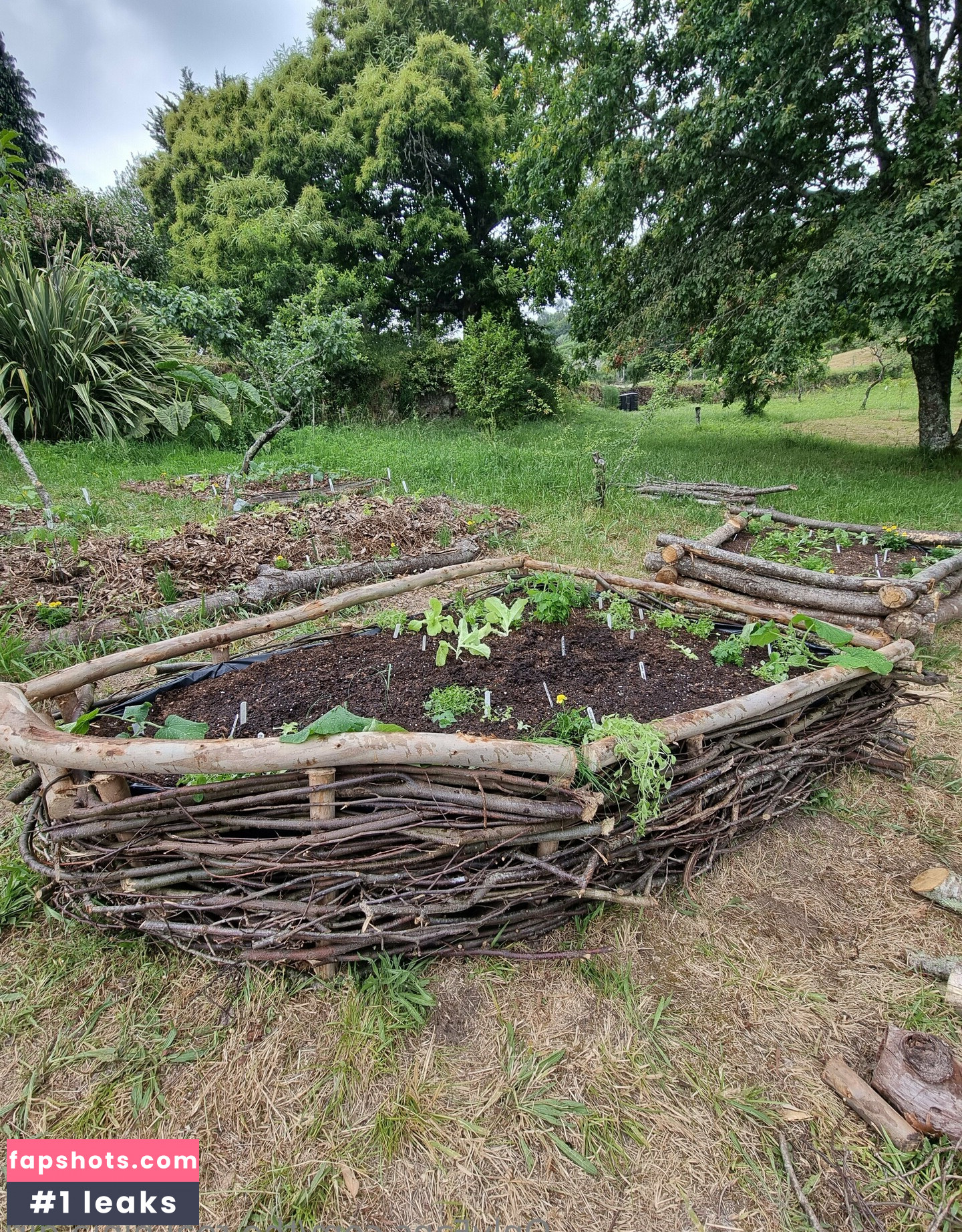 the.real.ninja.girl Nude Leaks OnlyFans Photos #25 - LeakJerk