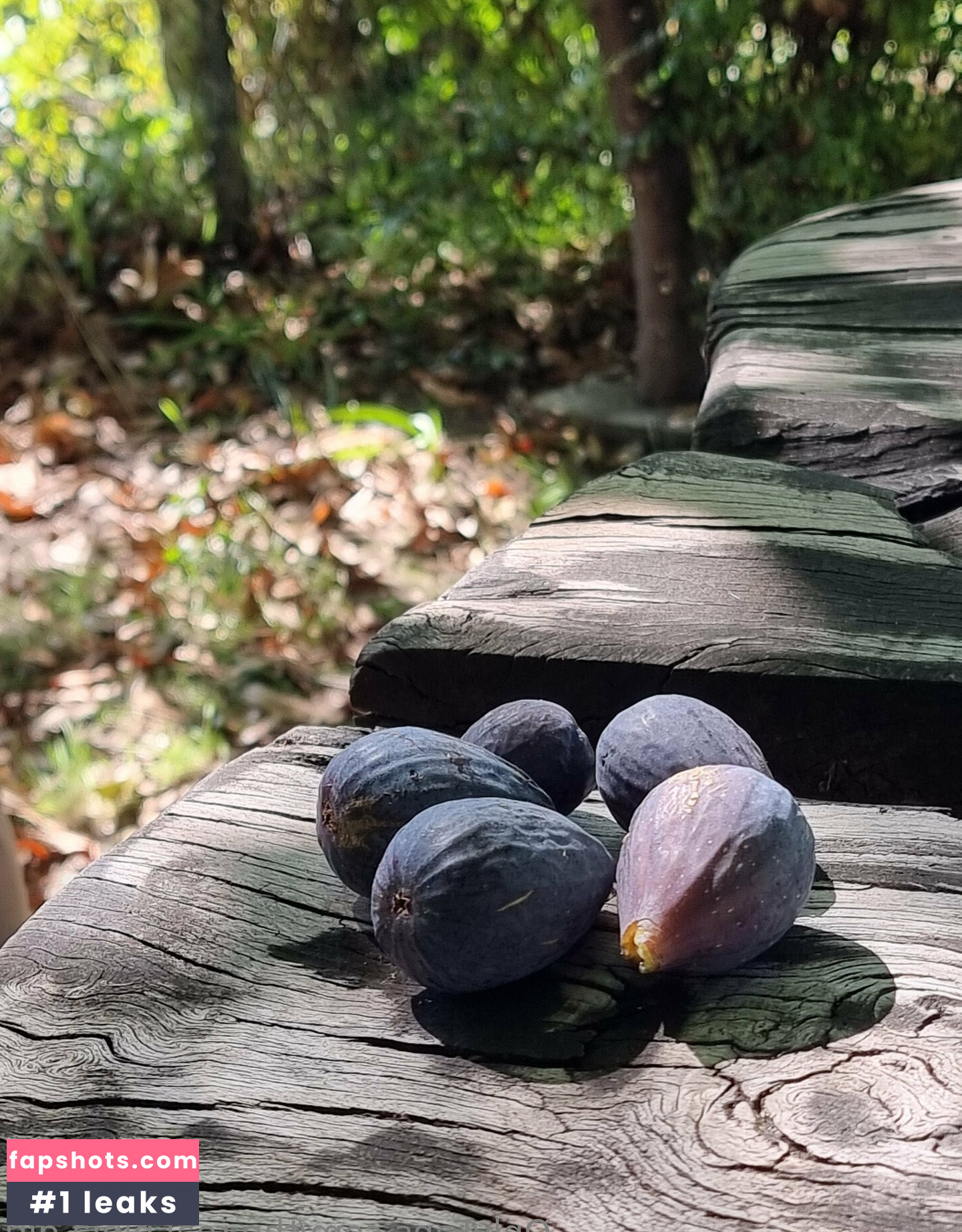 the.real.ninja.girl Nude Leaks OnlyFans Photos #7 - LeakJerk