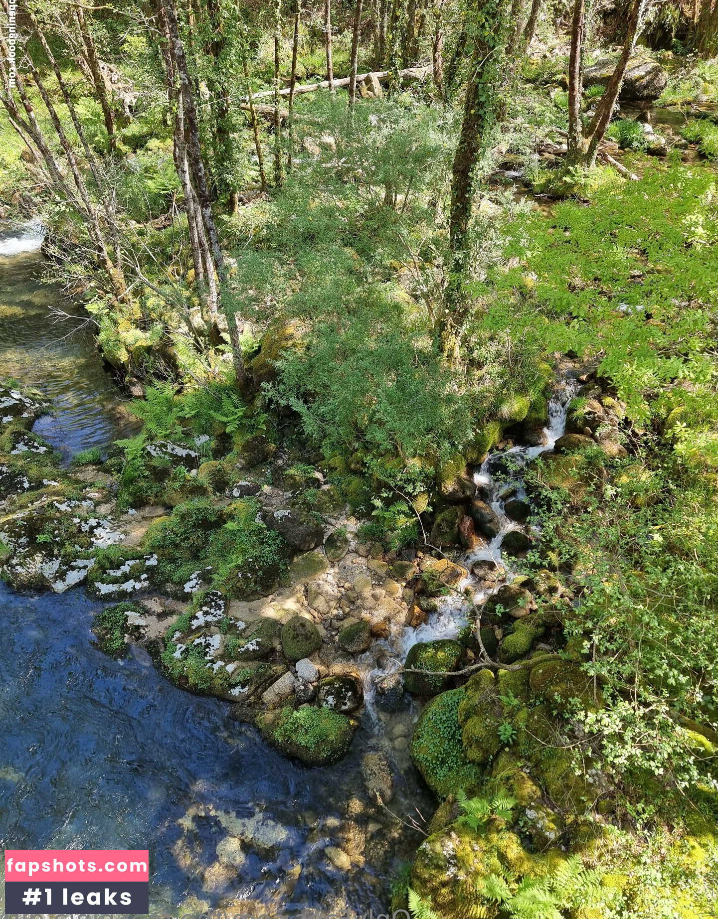 the.real.ninja.girl Nude Leaks OnlyFans Photos #61 - LeakJerk