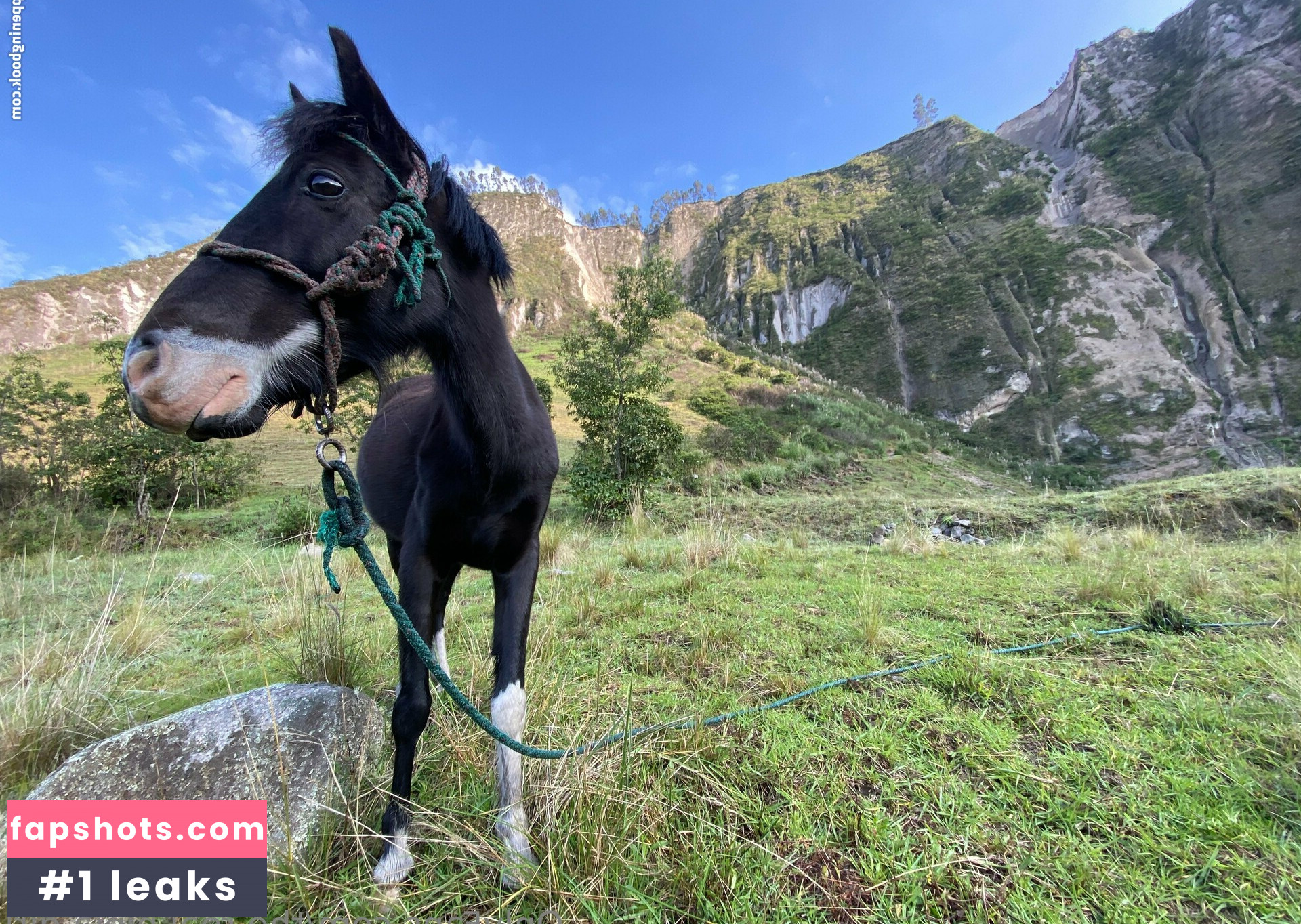 the.real.ninja.girl Nude Leaks OnlyFans Photos #72 - LeakJerk