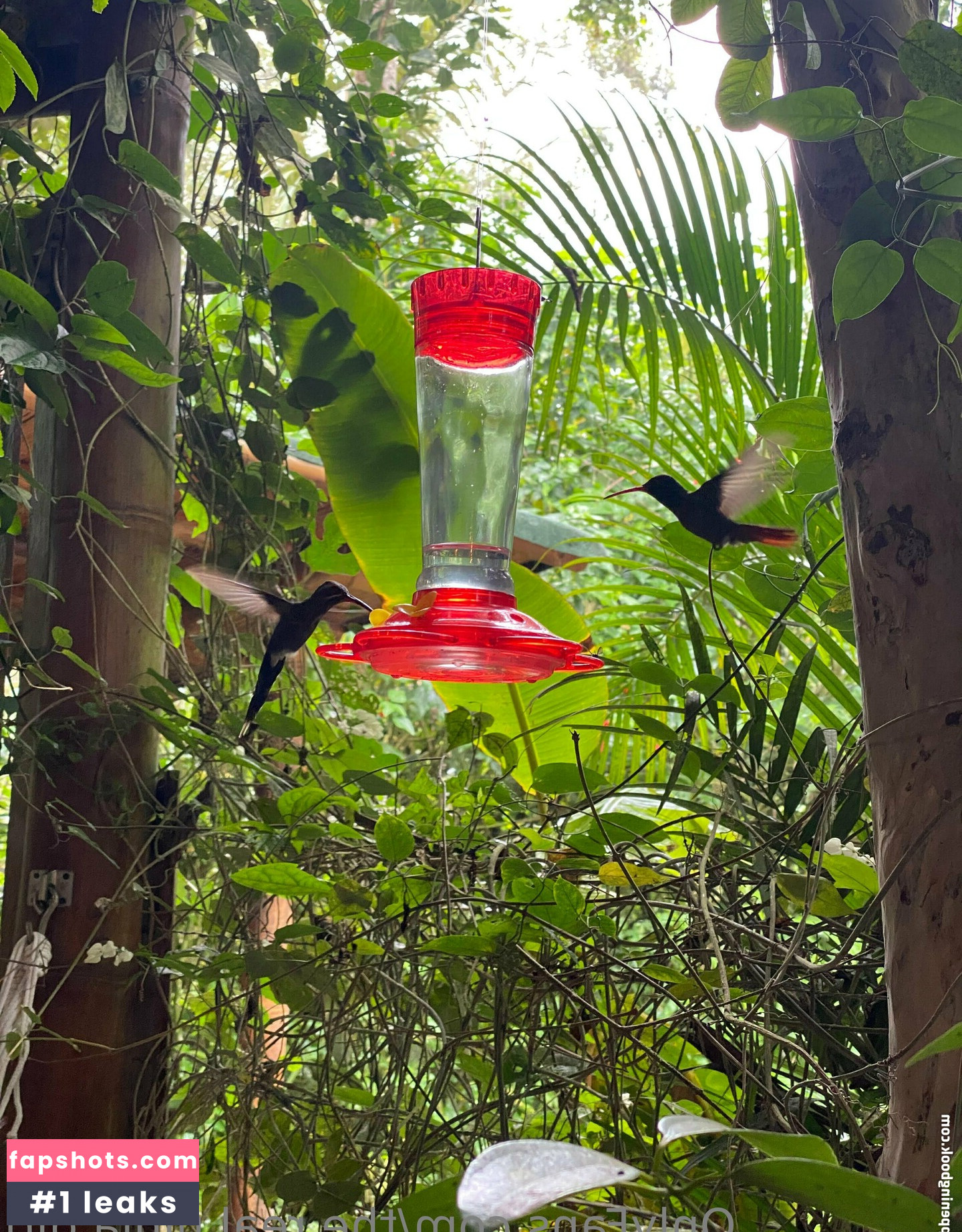 the.real.ninja.girl Nude Leaks OnlyFans Photos #74 - LeakJerk