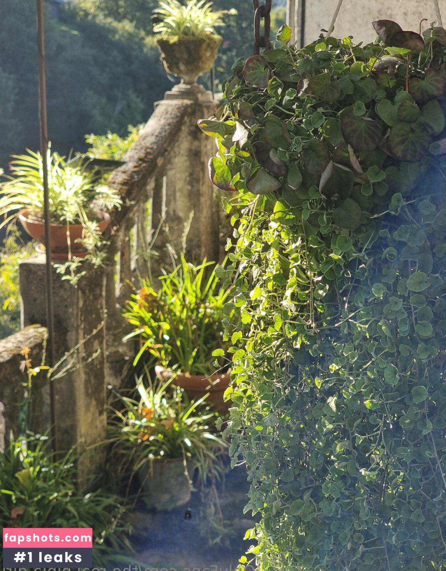 the.real.ninja.girl Nude Leaks OnlyFans Photos #10 - LeakJerk