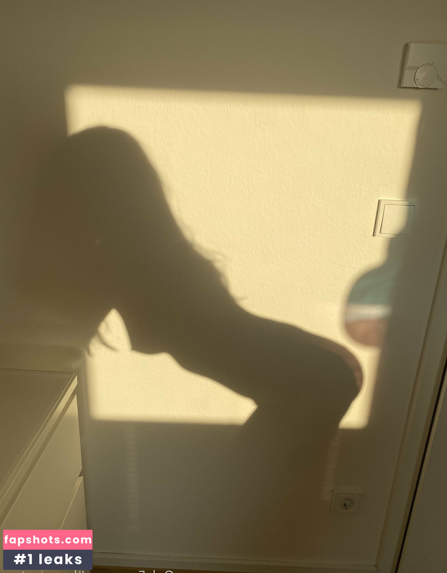 the.secretary Nahé úniky fotek pouze od fanoušků #33 - Fapshots