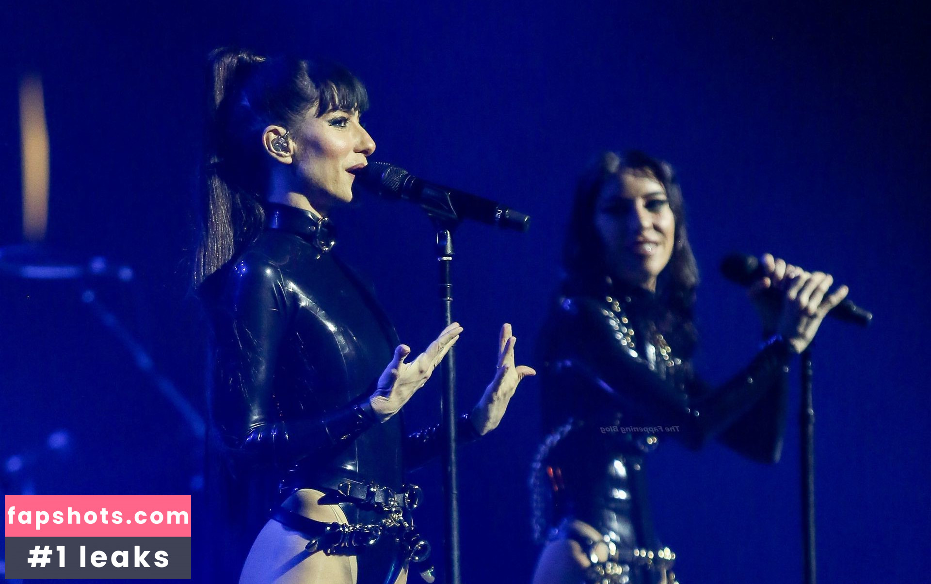 The Veronicas Filtración Desnuda OnlyFans Foto #3 - Fapshots