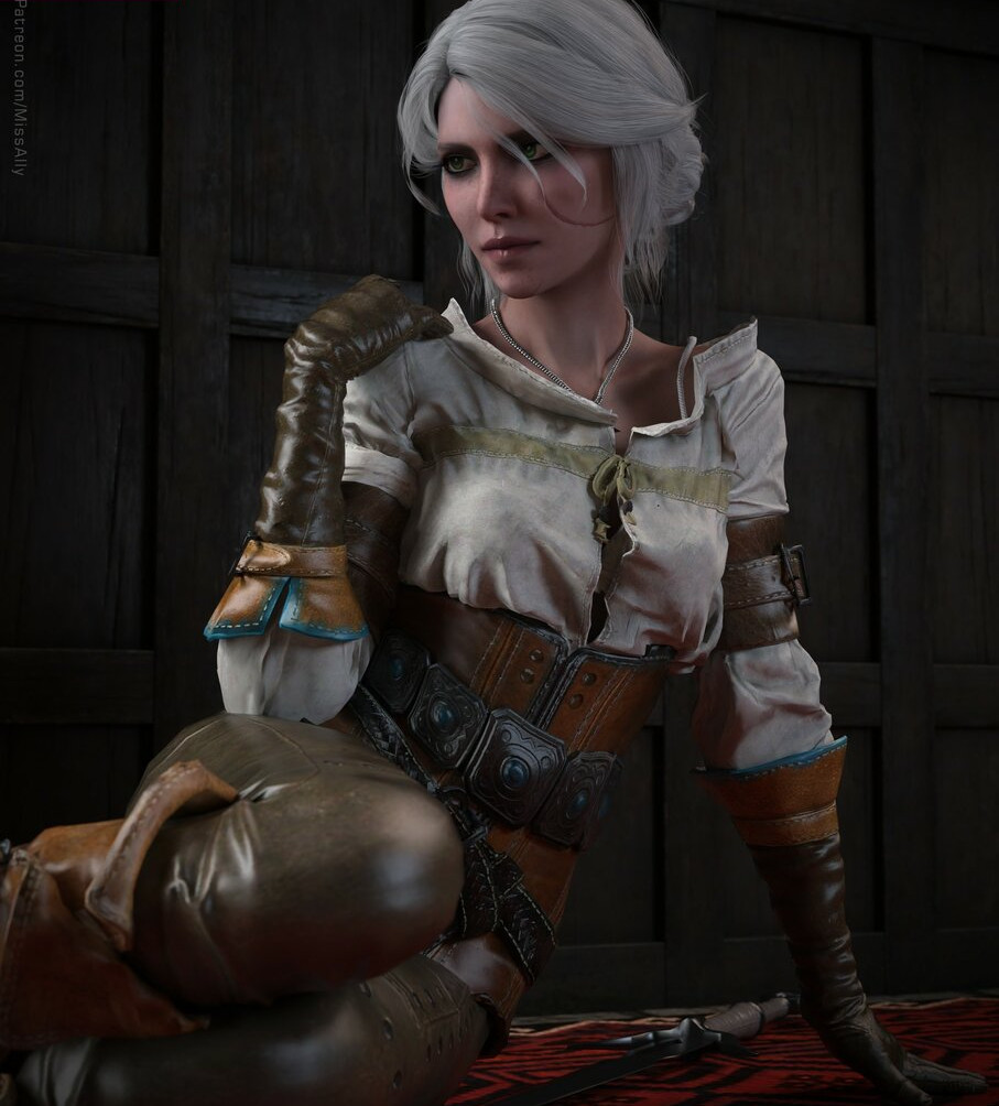the-witcher gallery photo #1009