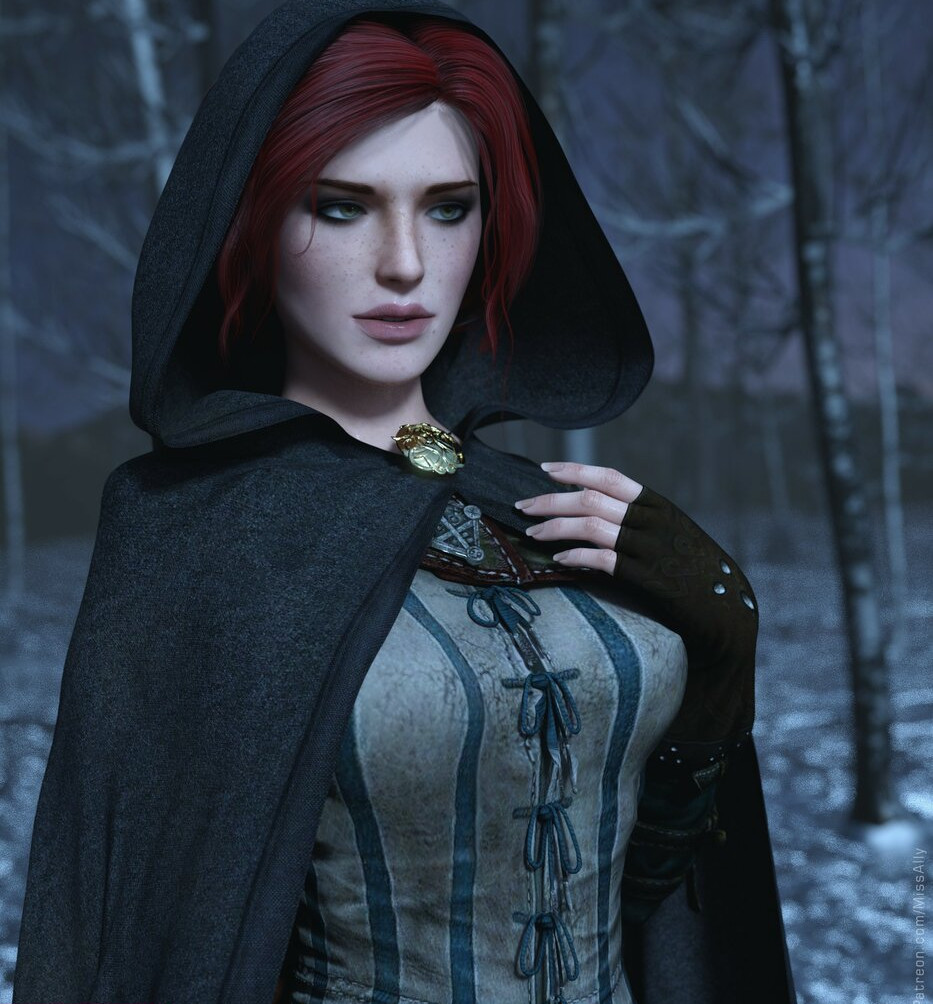 the-witcher gallery photo #1083