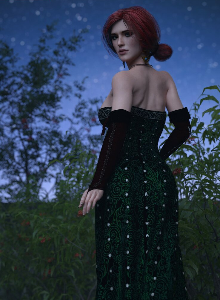 the-witcher gallery photo #1095