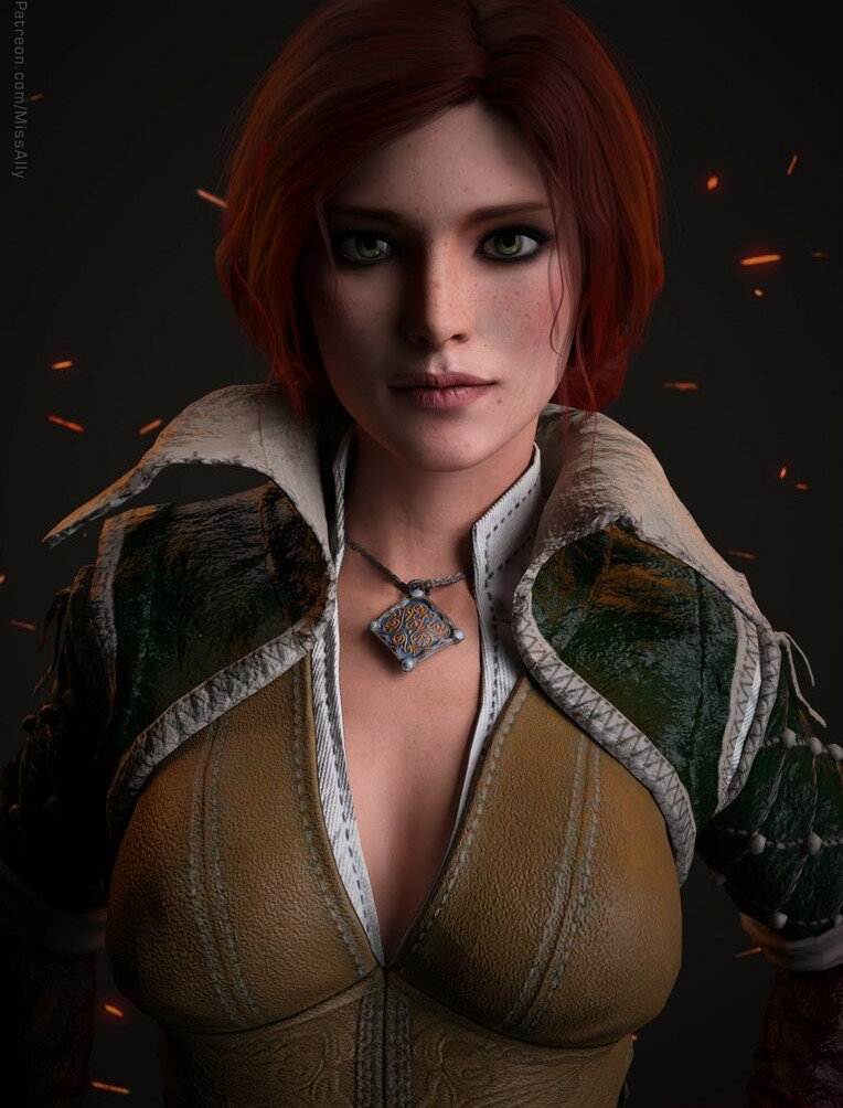 the-witcher gallery photo #1134