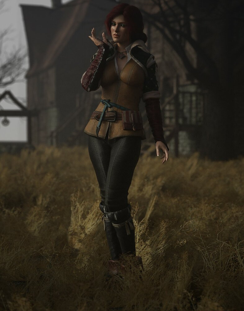 the-witcher gallery photo #1148