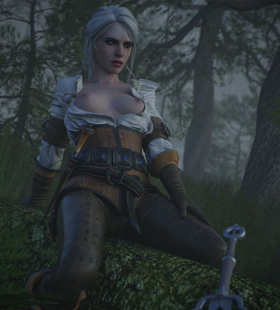 the-witcher gallery photo #1197