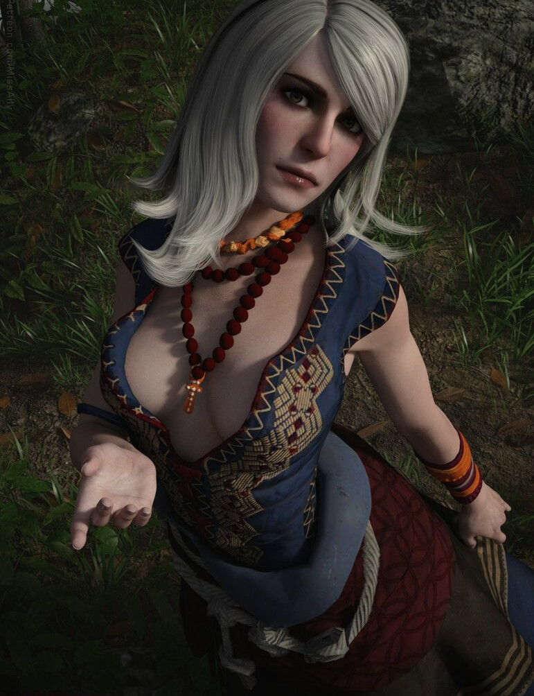 the-witcher gallery photo #1306