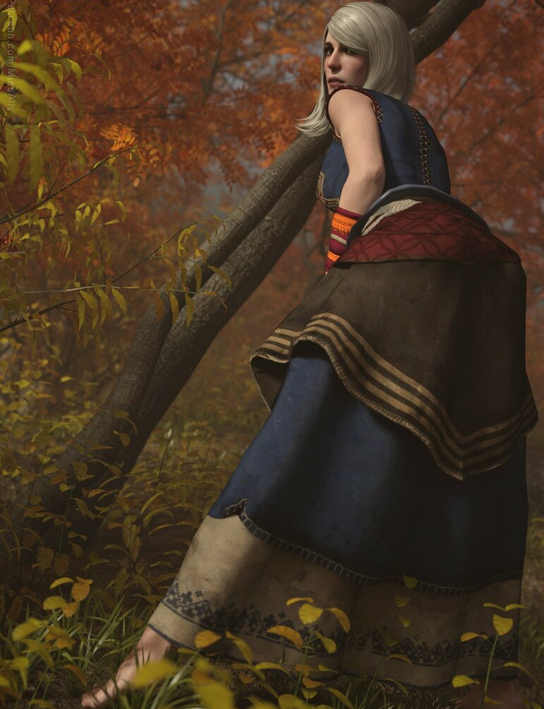 the-witcher gallery photo #1309