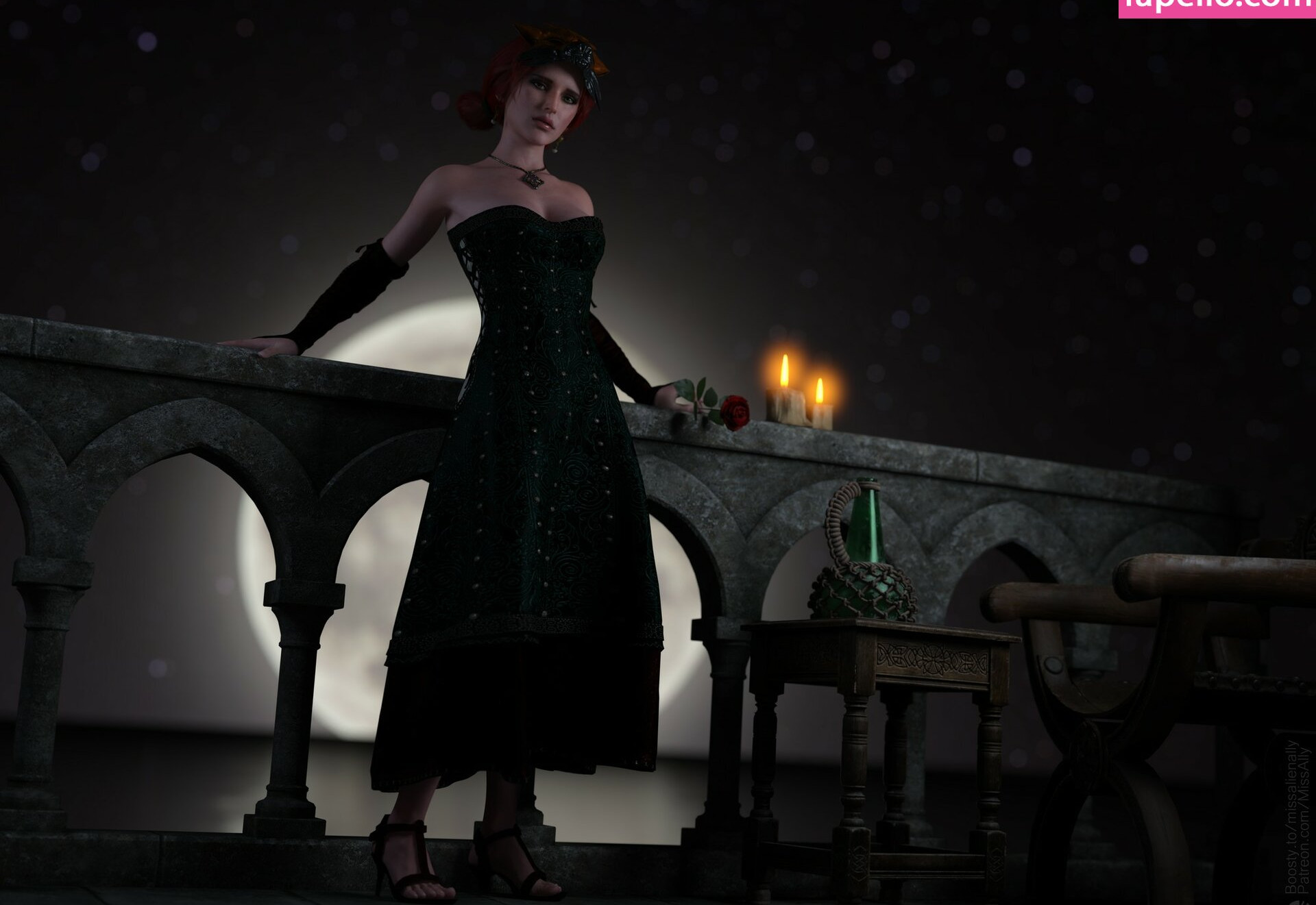 the-witcher gallery photo #1368