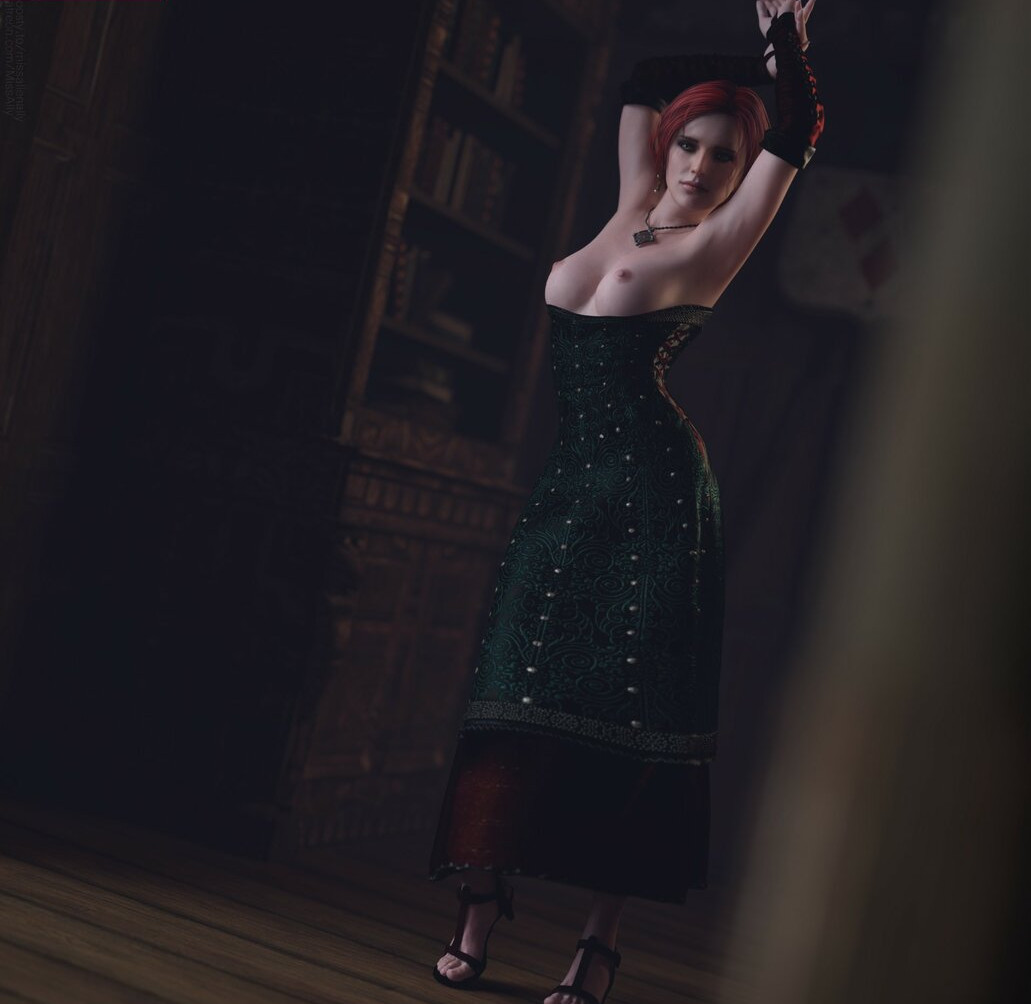 the-witcher gallery photo #1389