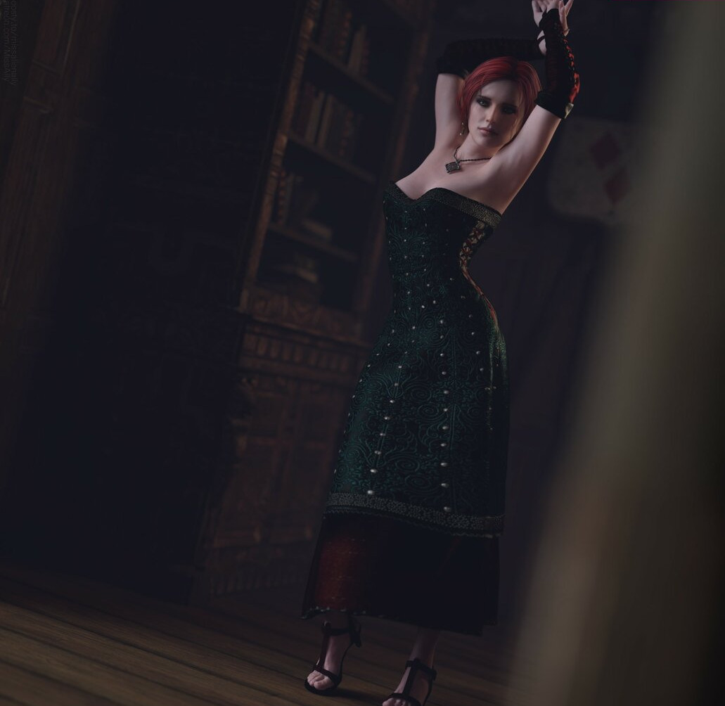 the-witcher gallery photo #1390