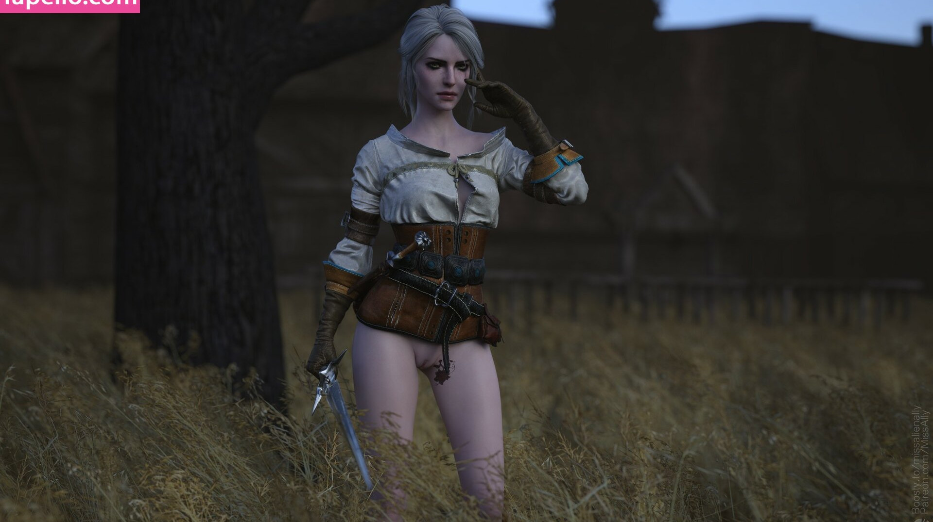 the-witcher gallery photo #1679