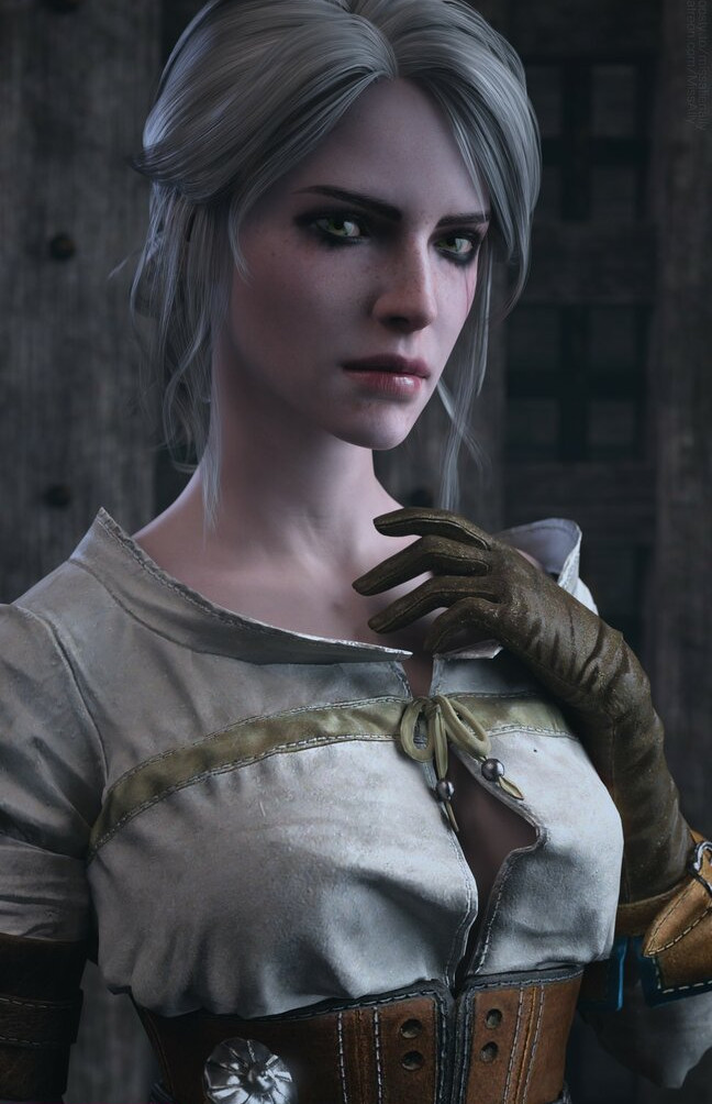 the-witcher gallery photo #1712