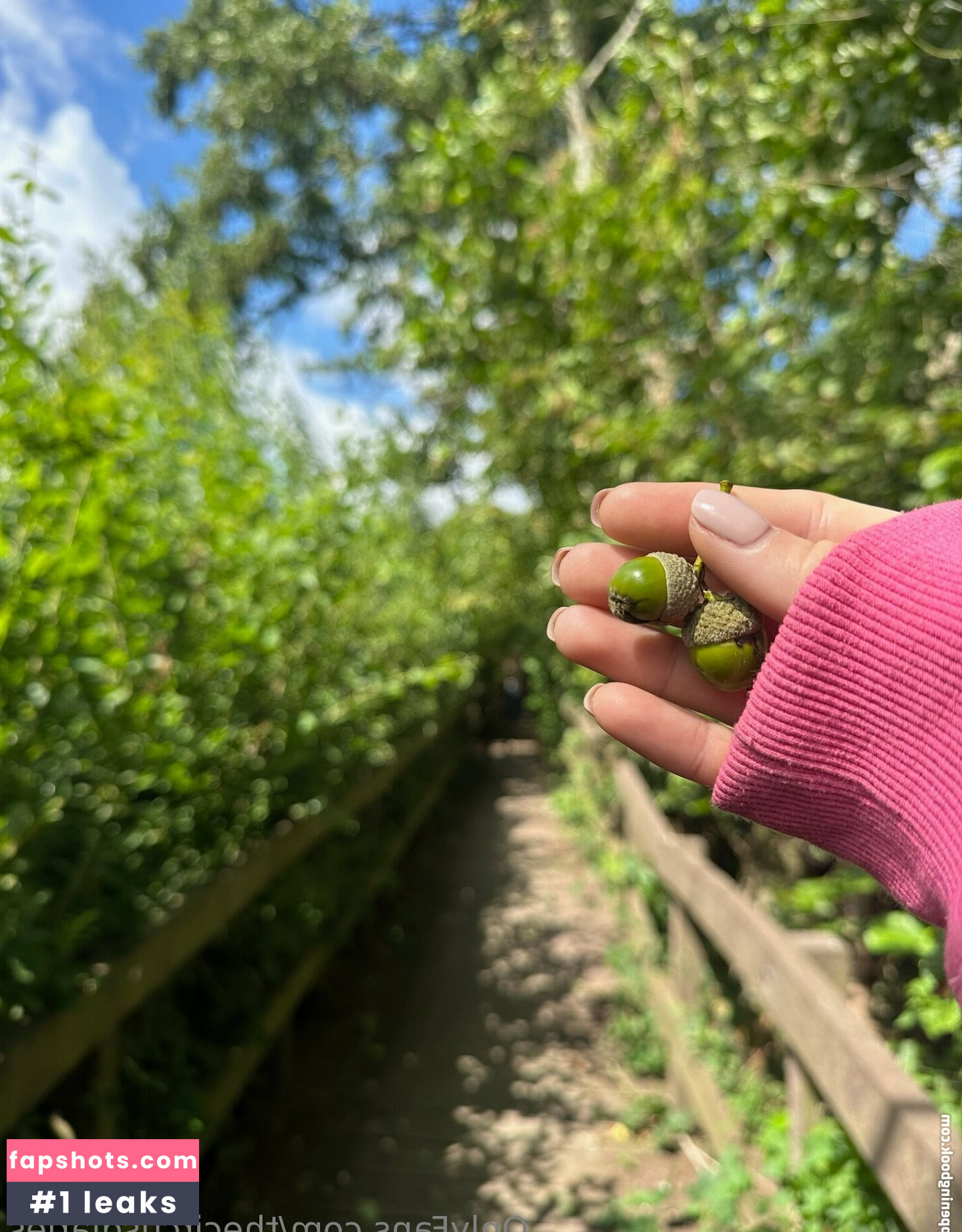 thecircusdiaries gallery photo #20