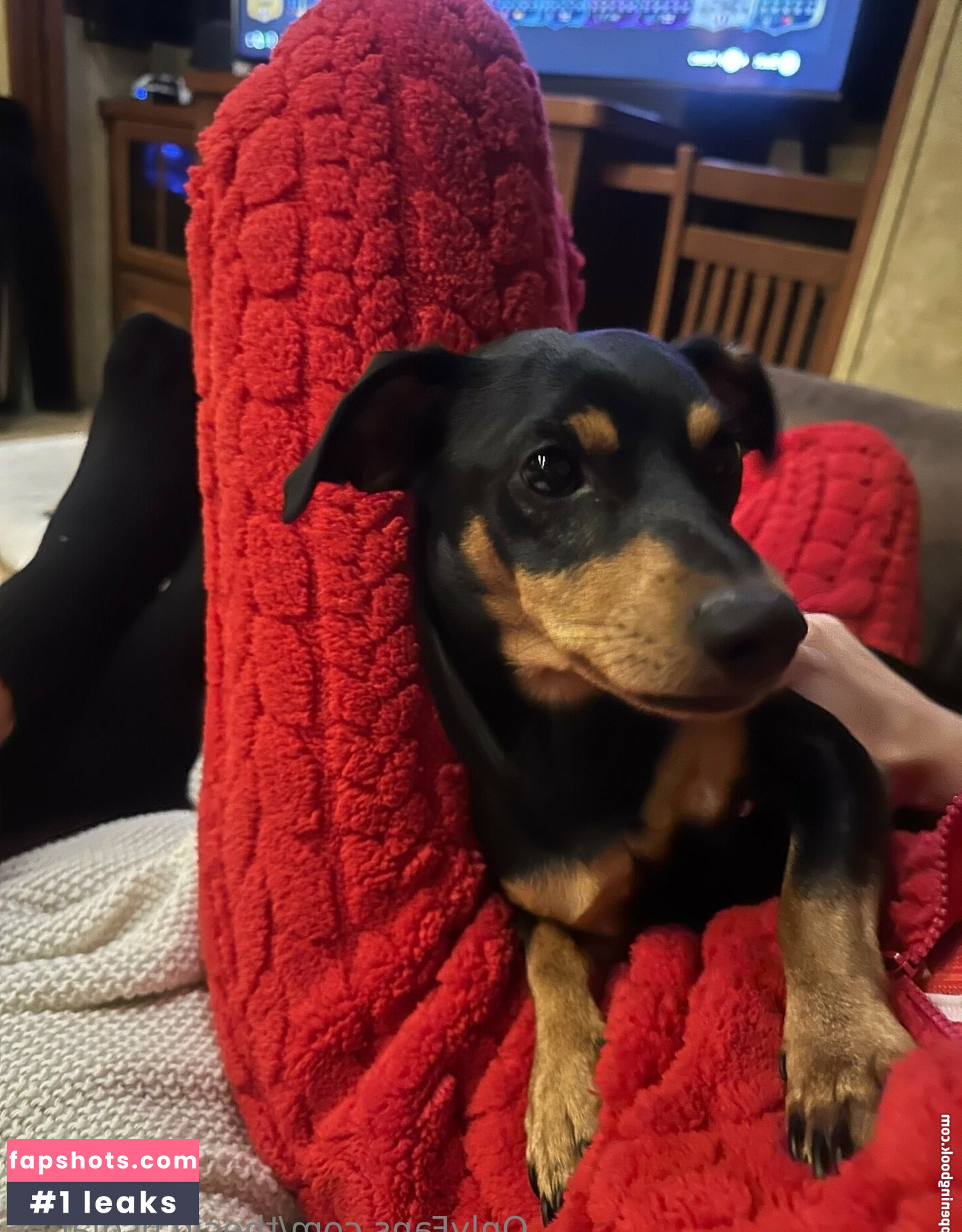 thecircusdiaries gallery photo #23