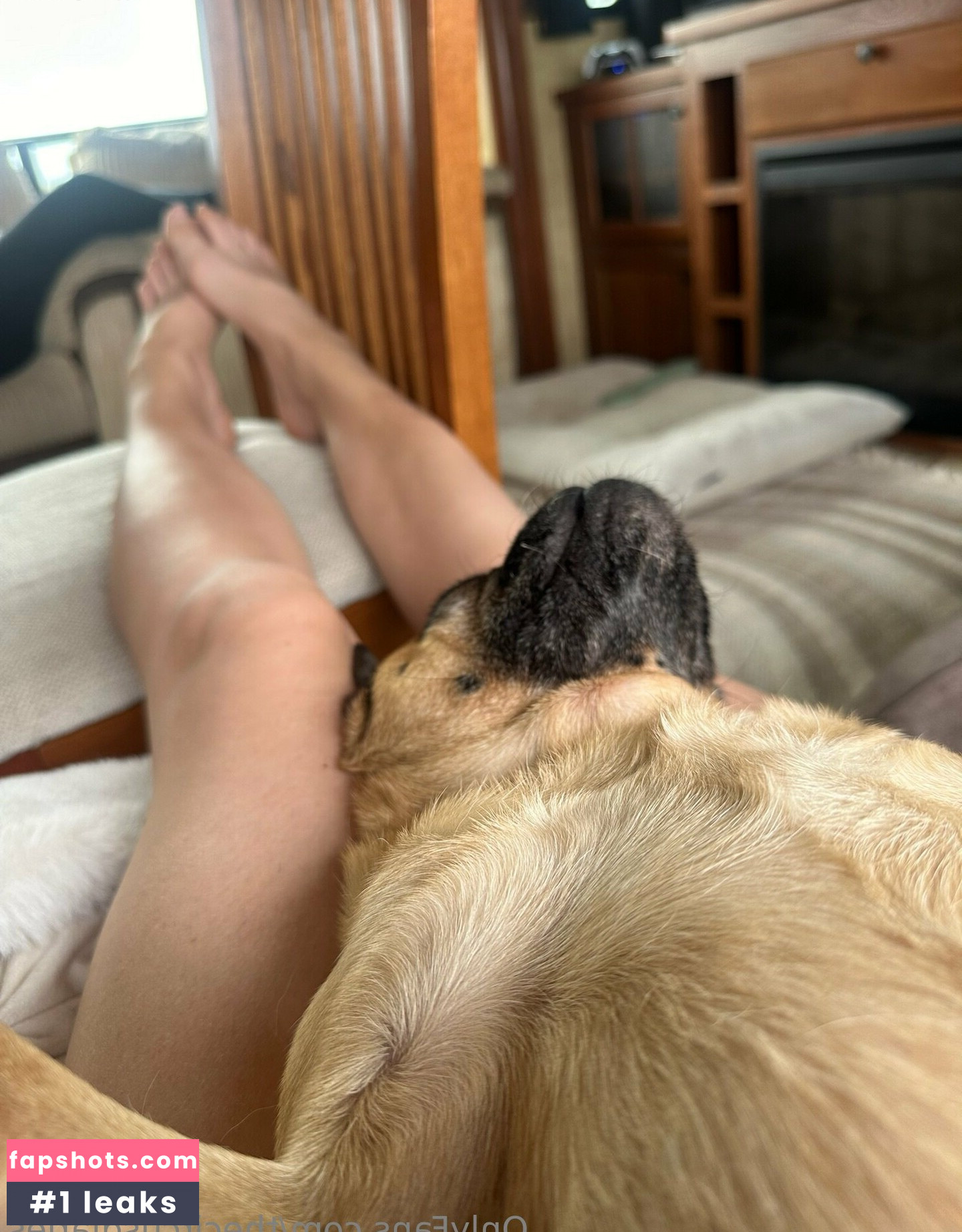 thecircusdiaries gallery photo #25