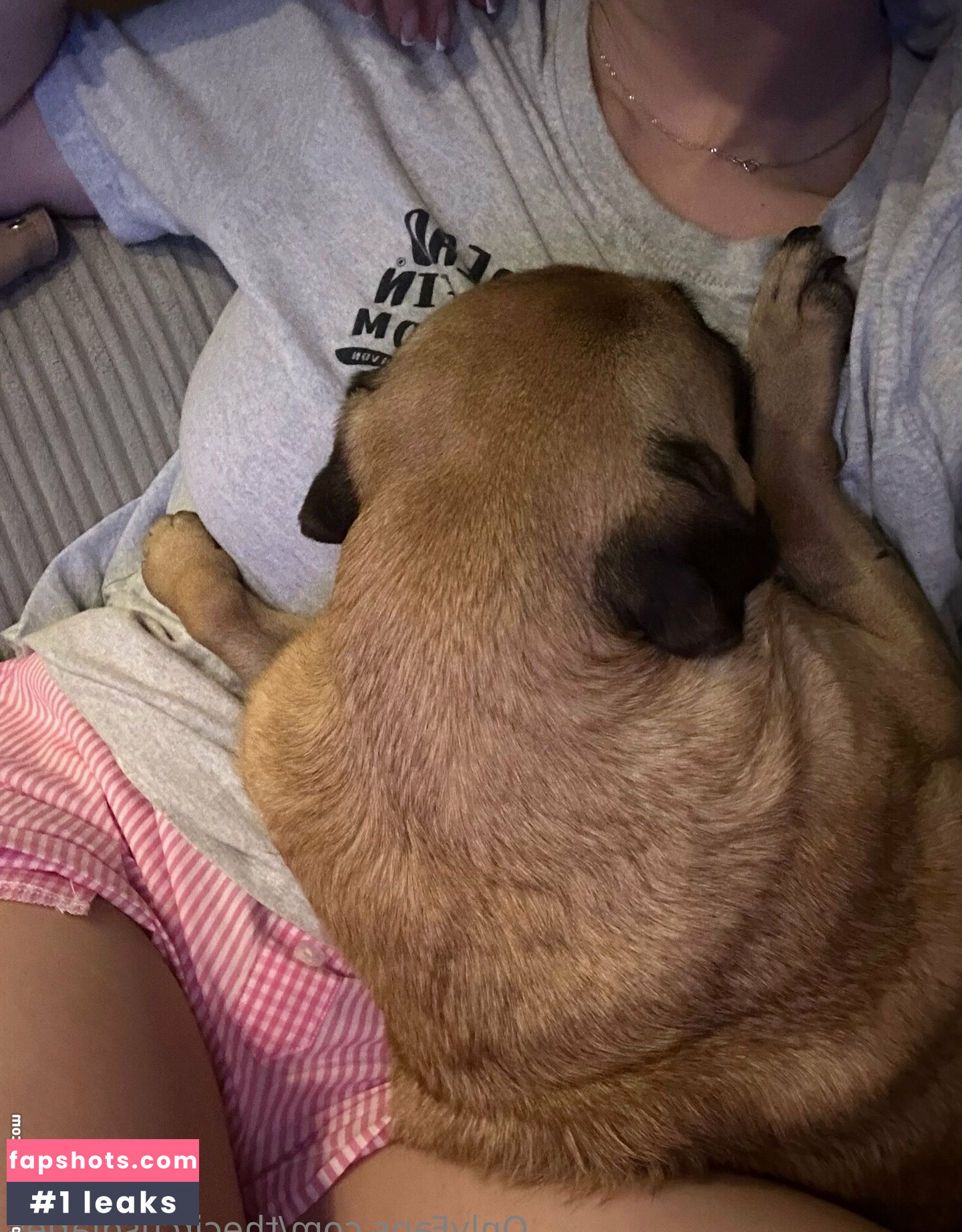 thecircusdiaries gallery photo #31