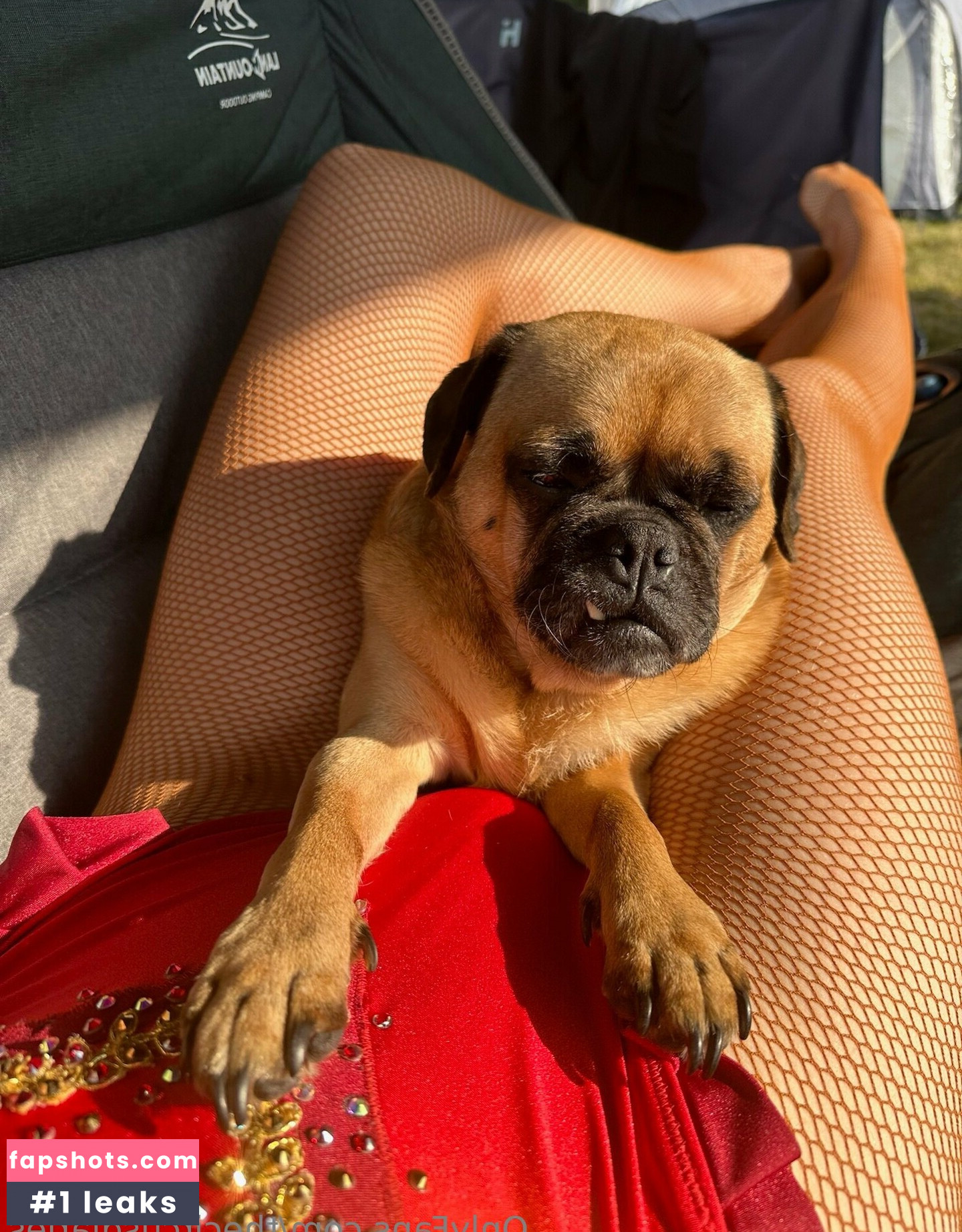 thecircusdiaries gallery photo #9