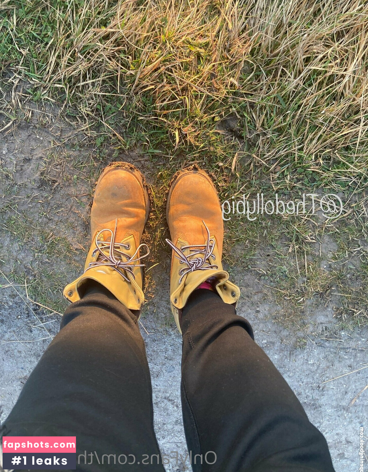 thedollybig gallery photo #12