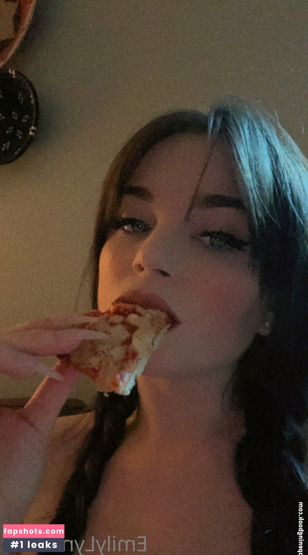 theemilylynne gallery photo #24