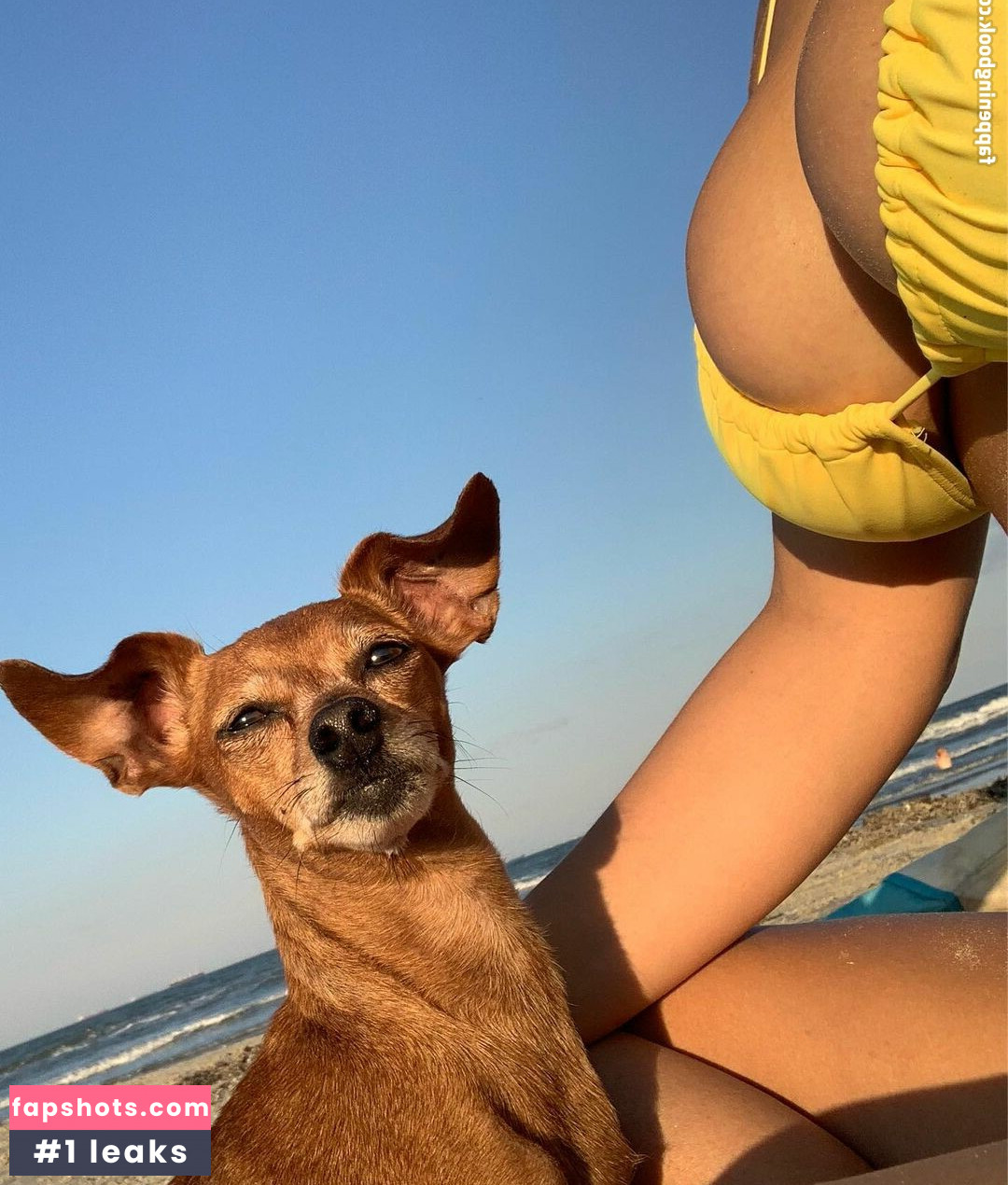 theflux gallery photo #26