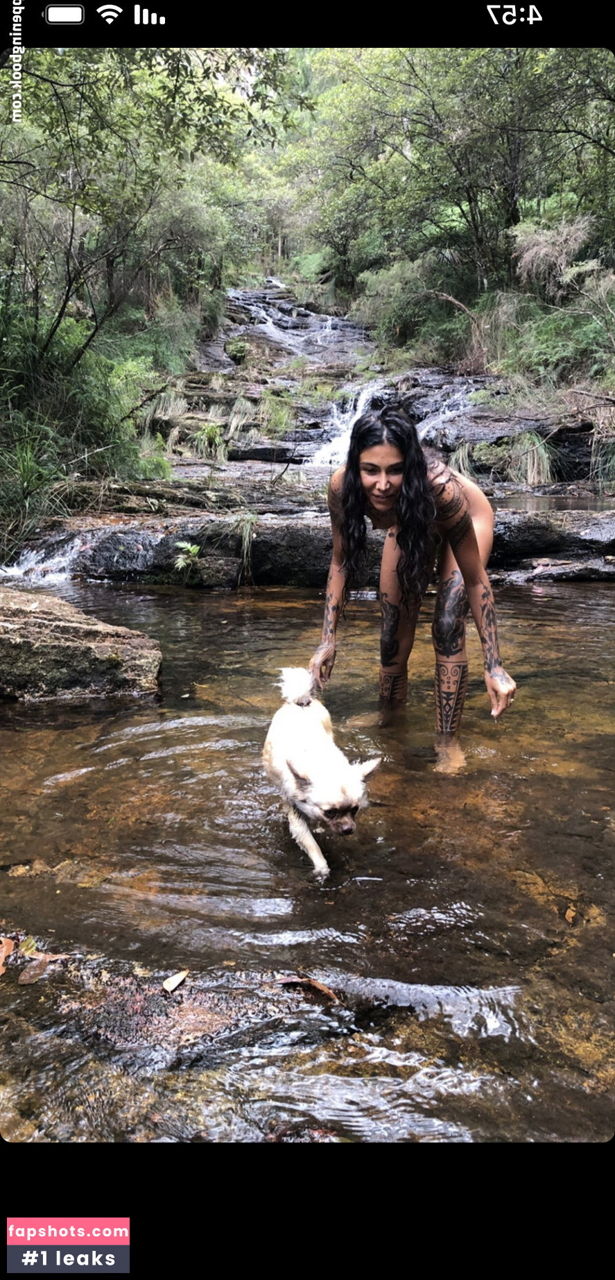 Thefreeelf gallery photo #19