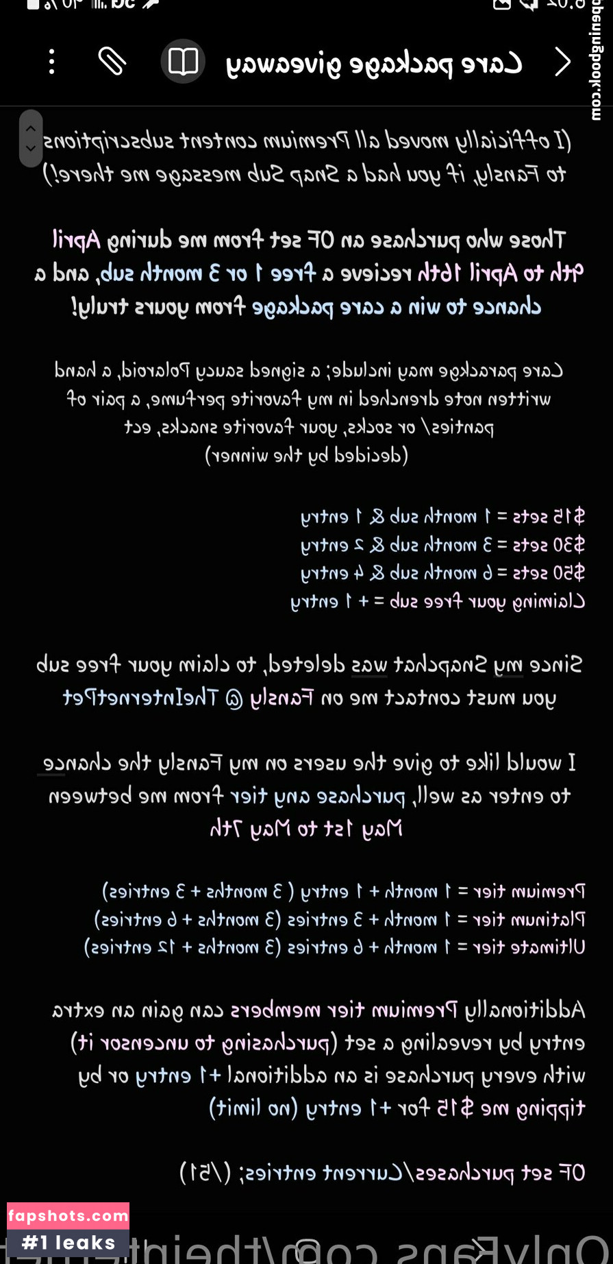 theinternetpet gallery photo #2