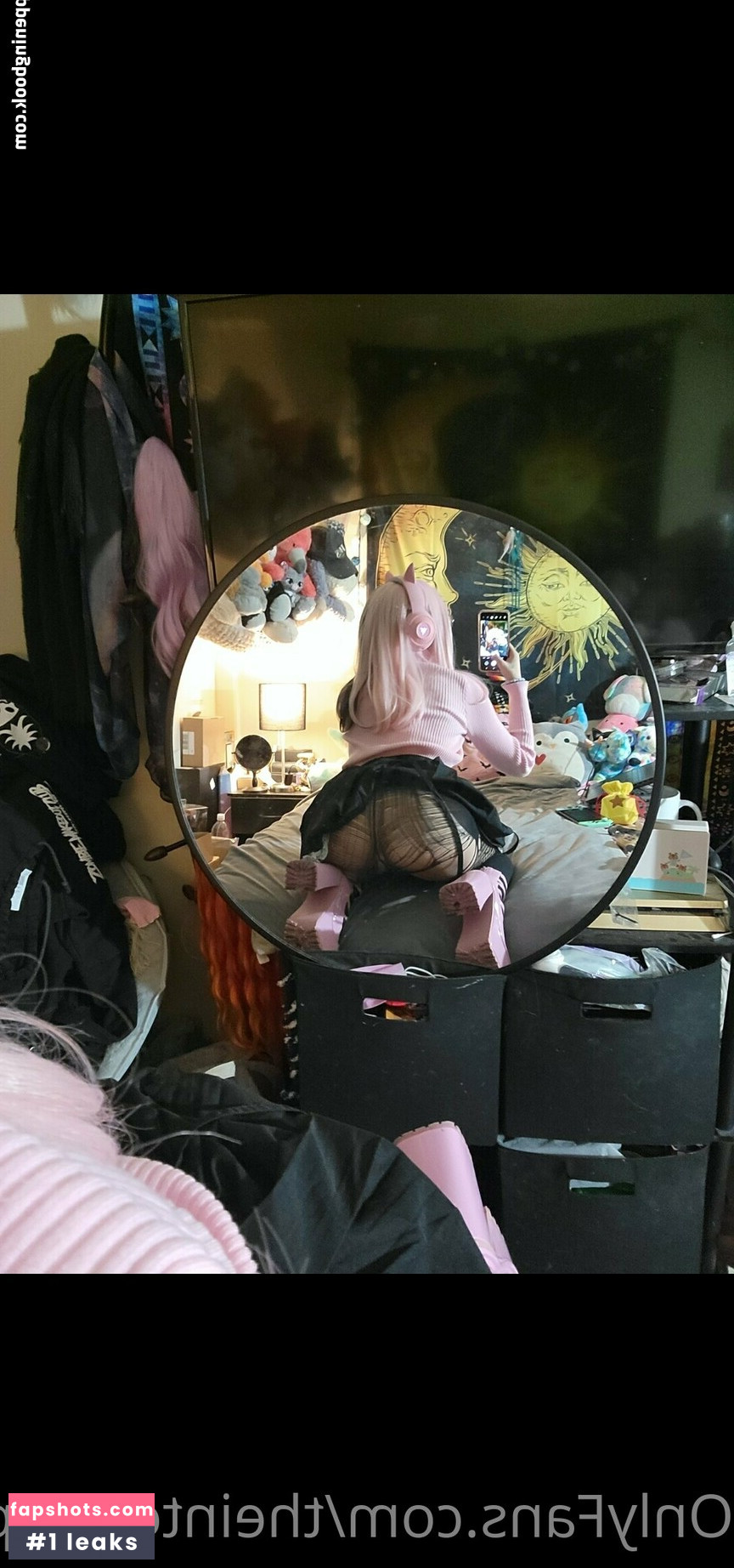 theinternetpet gallery photo #17