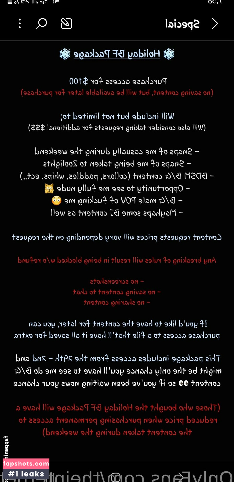 theinternetpet gallery photo #20