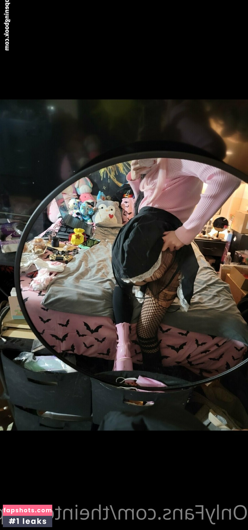 theinternetpet gallery photo #3