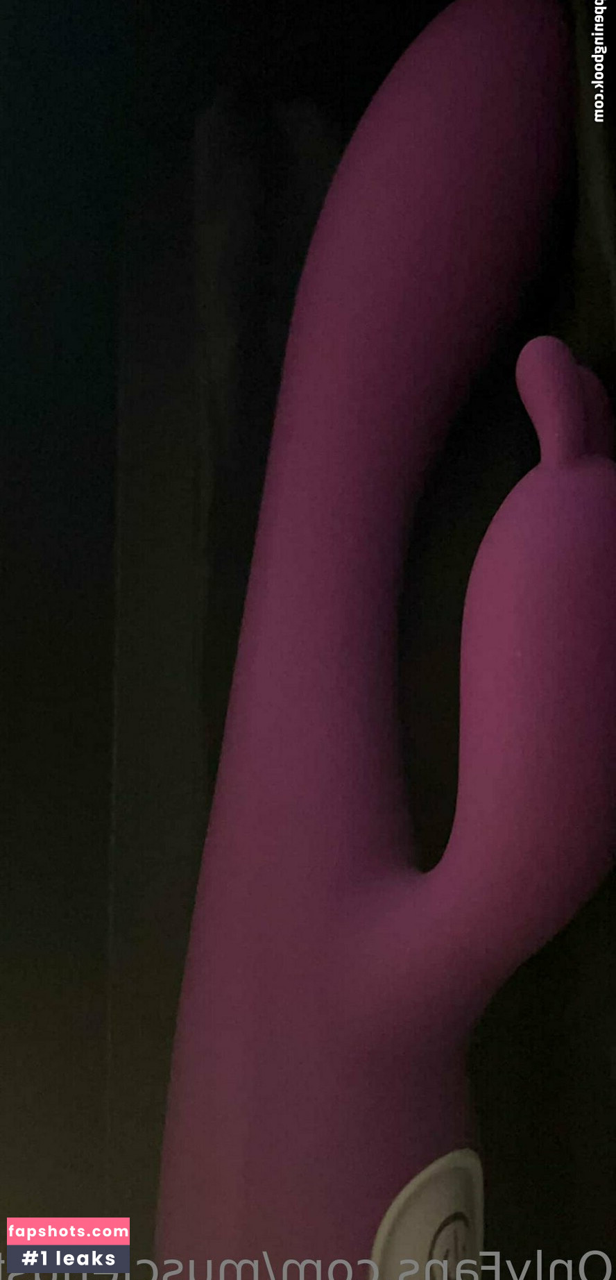 Themusclehustler Nude Leaks OnlyFans Photos #16 - LeakJerk