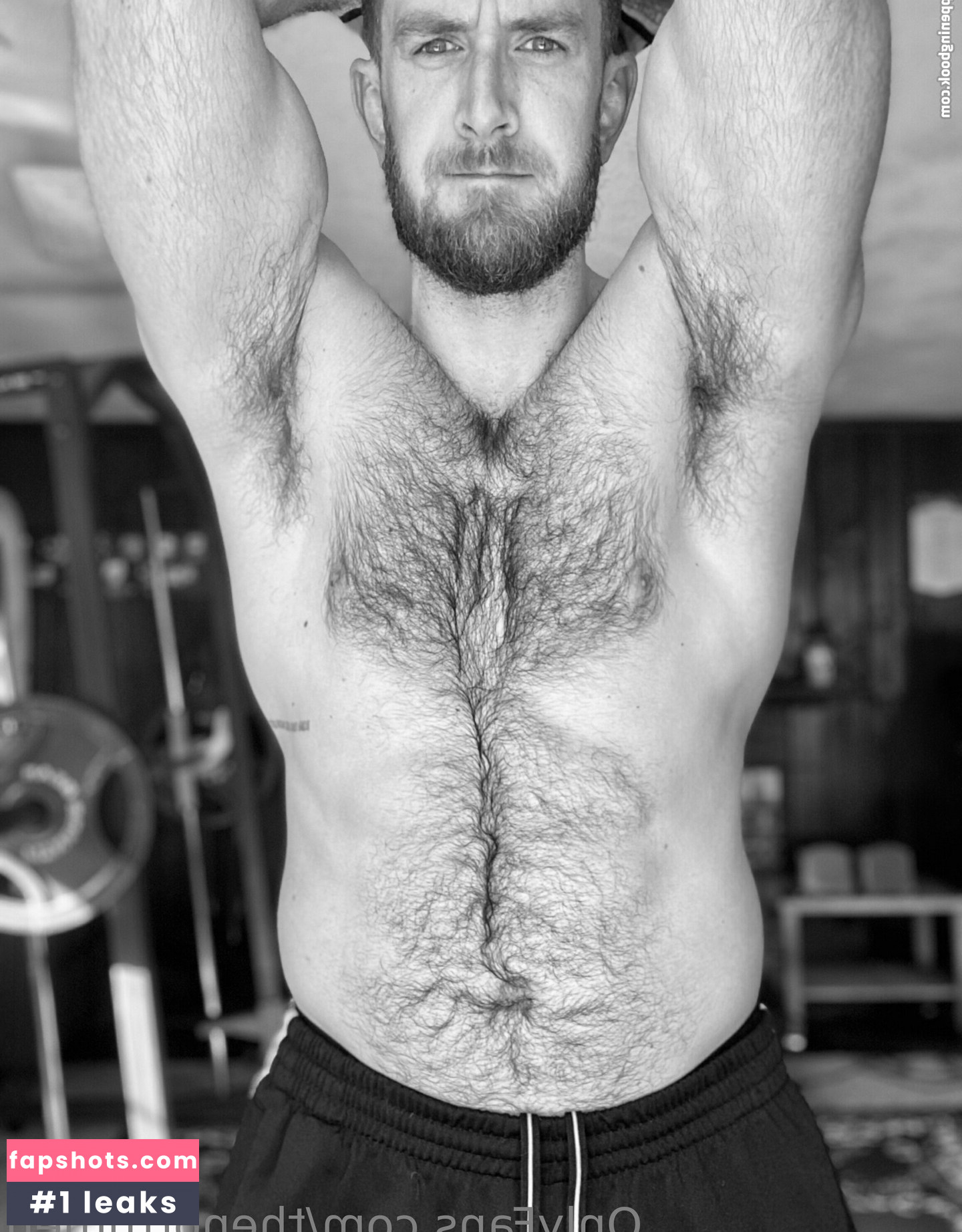 thenorthmen gallery photo #12