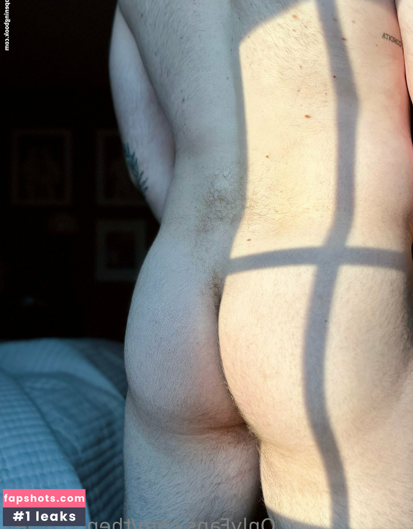 thenorthmen gallery photo #27