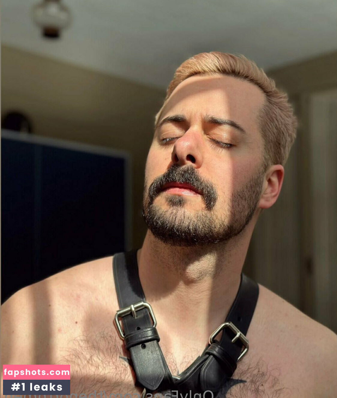 thenorthmen gallery photo #29